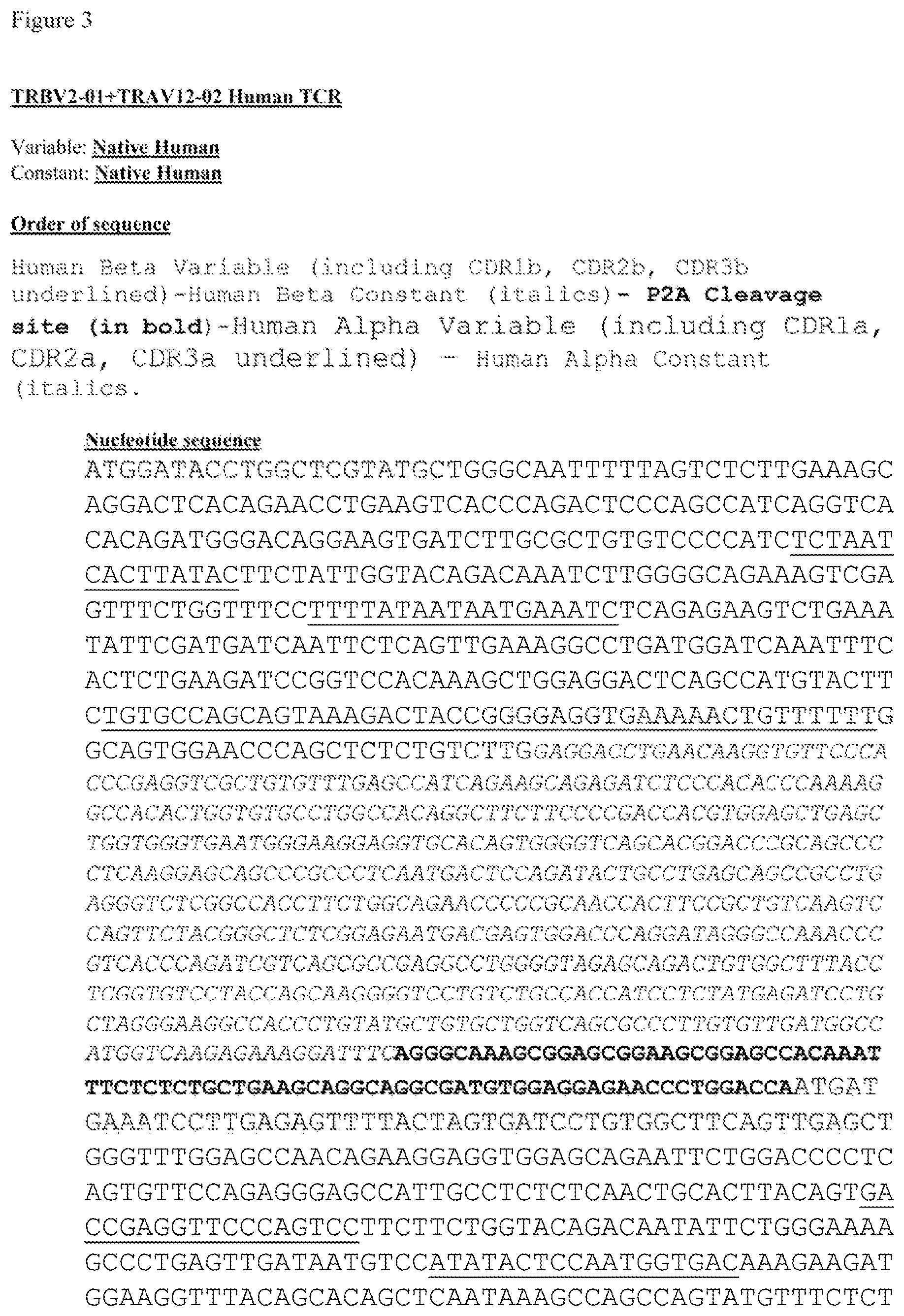 Patent US12612444 Figure 5 – T cell receptors targeting mutations in RNA splicing factors
