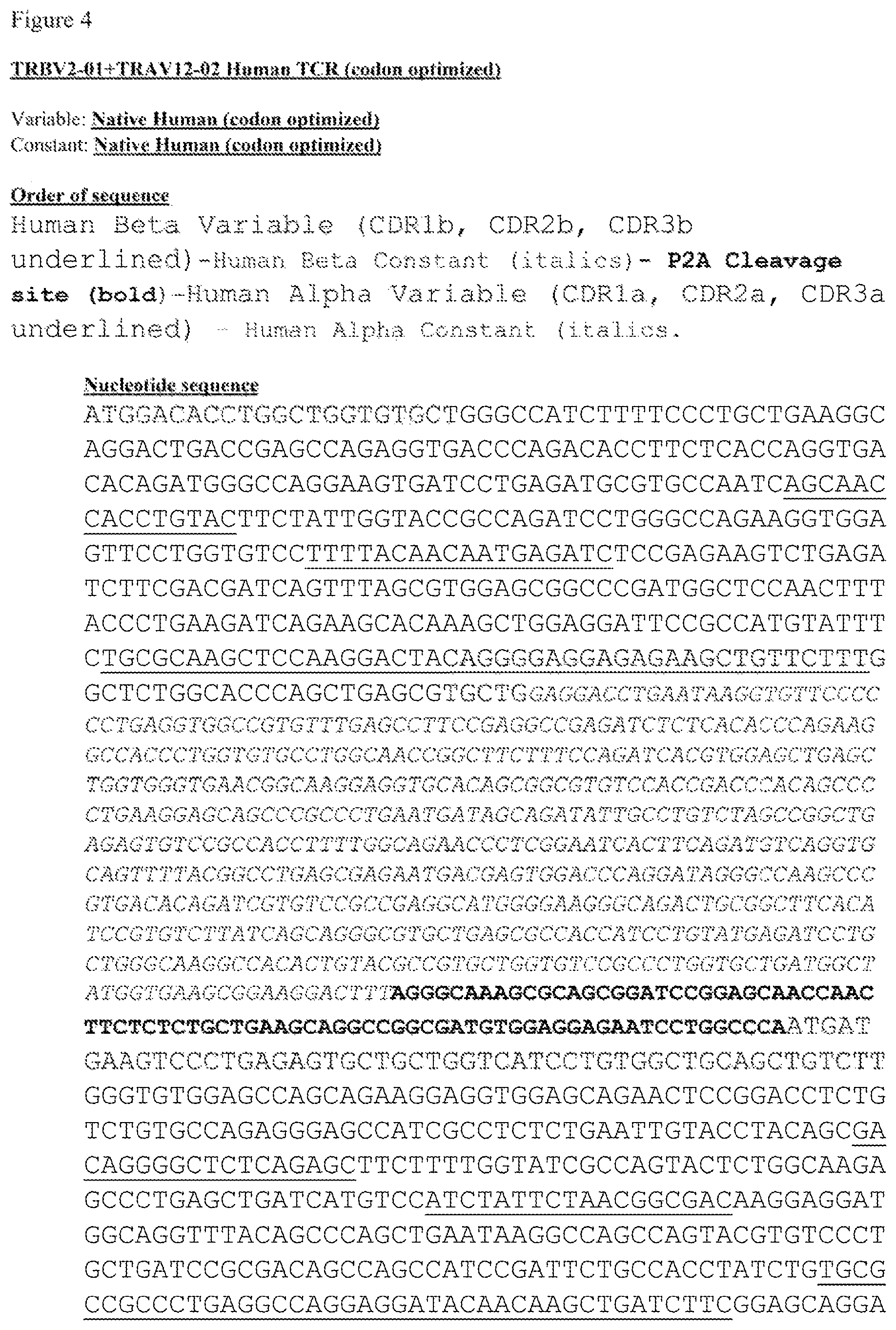 Patent US12612444 Figure 7 – T cell receptors targeting mutations in RNA splicing factors
