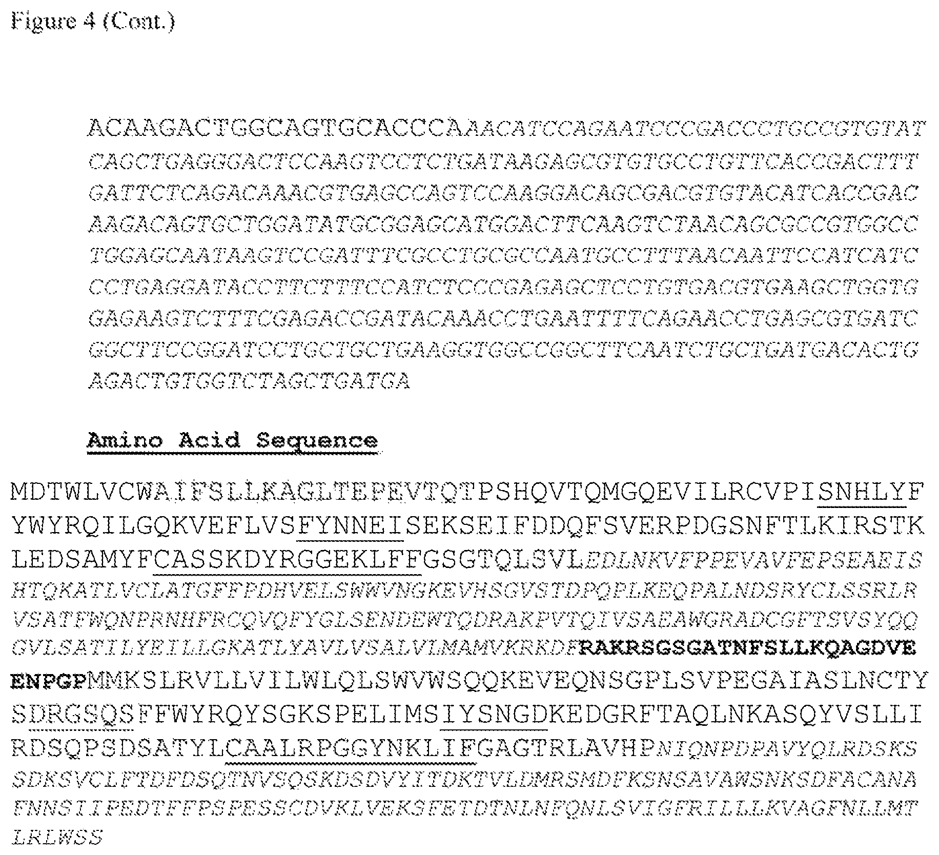 Patent US12612444 Figure 8 – T cell receptors targeting mutations in RNA splicing factors
