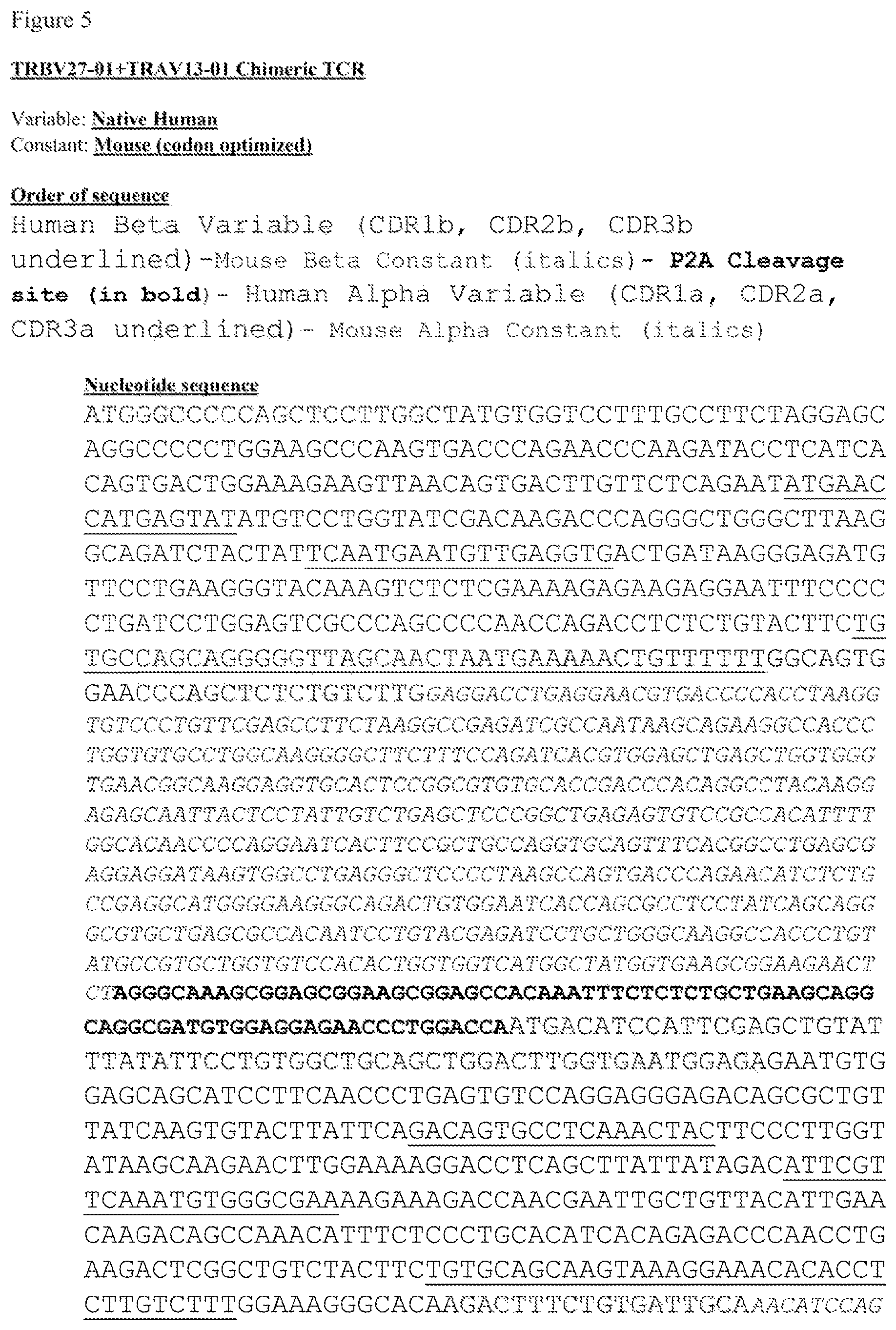 Patent US12612444 Figure 9 – T cell receptors targeting mutations in RNA splicing factors