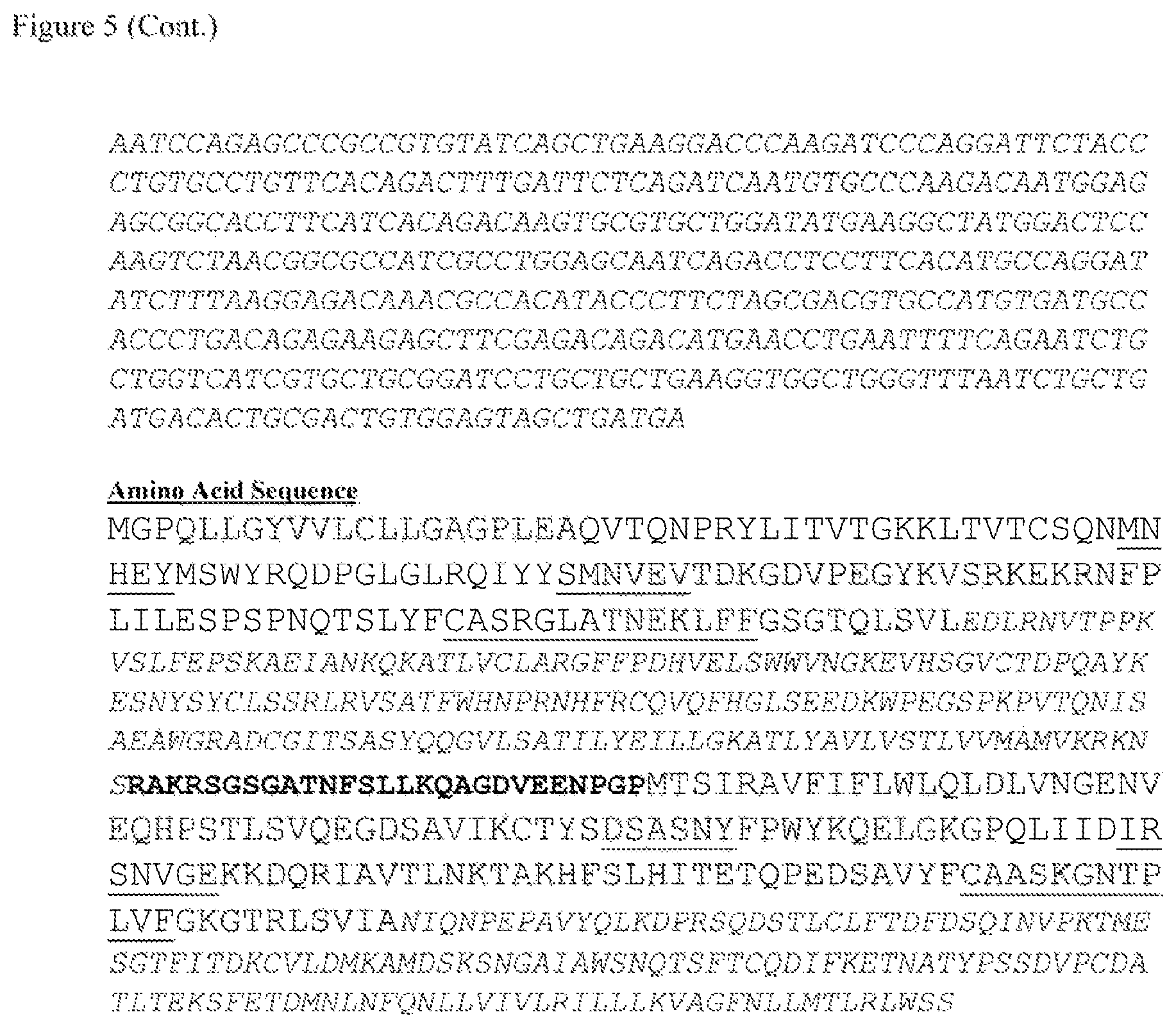 Patent US12612444 Figure 10 – T cell receptors targeting mutations in RNA splicing factors