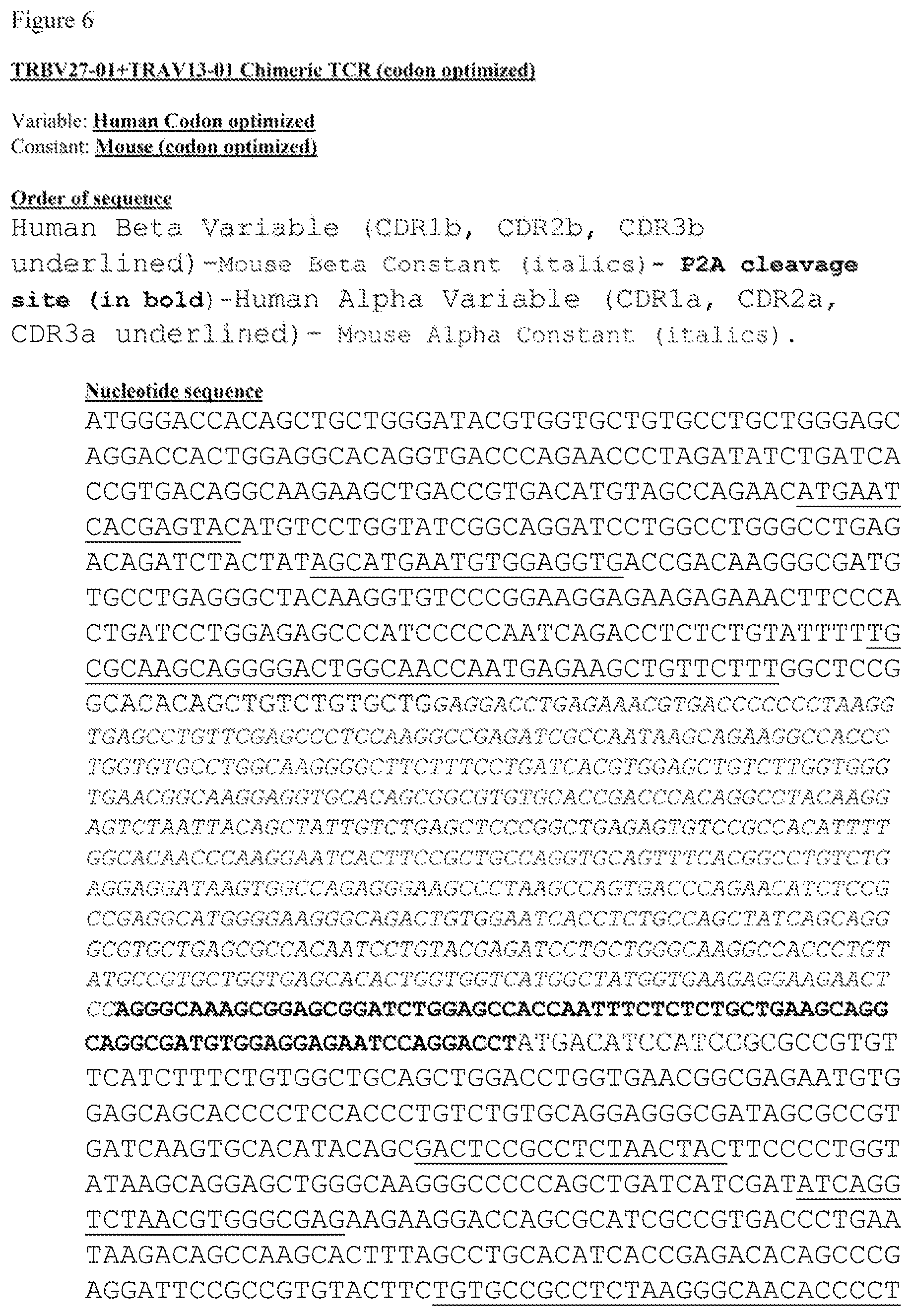 Patent US12612444 Figure 11 – T cell receptors targeting mutations in RNA splicing factors