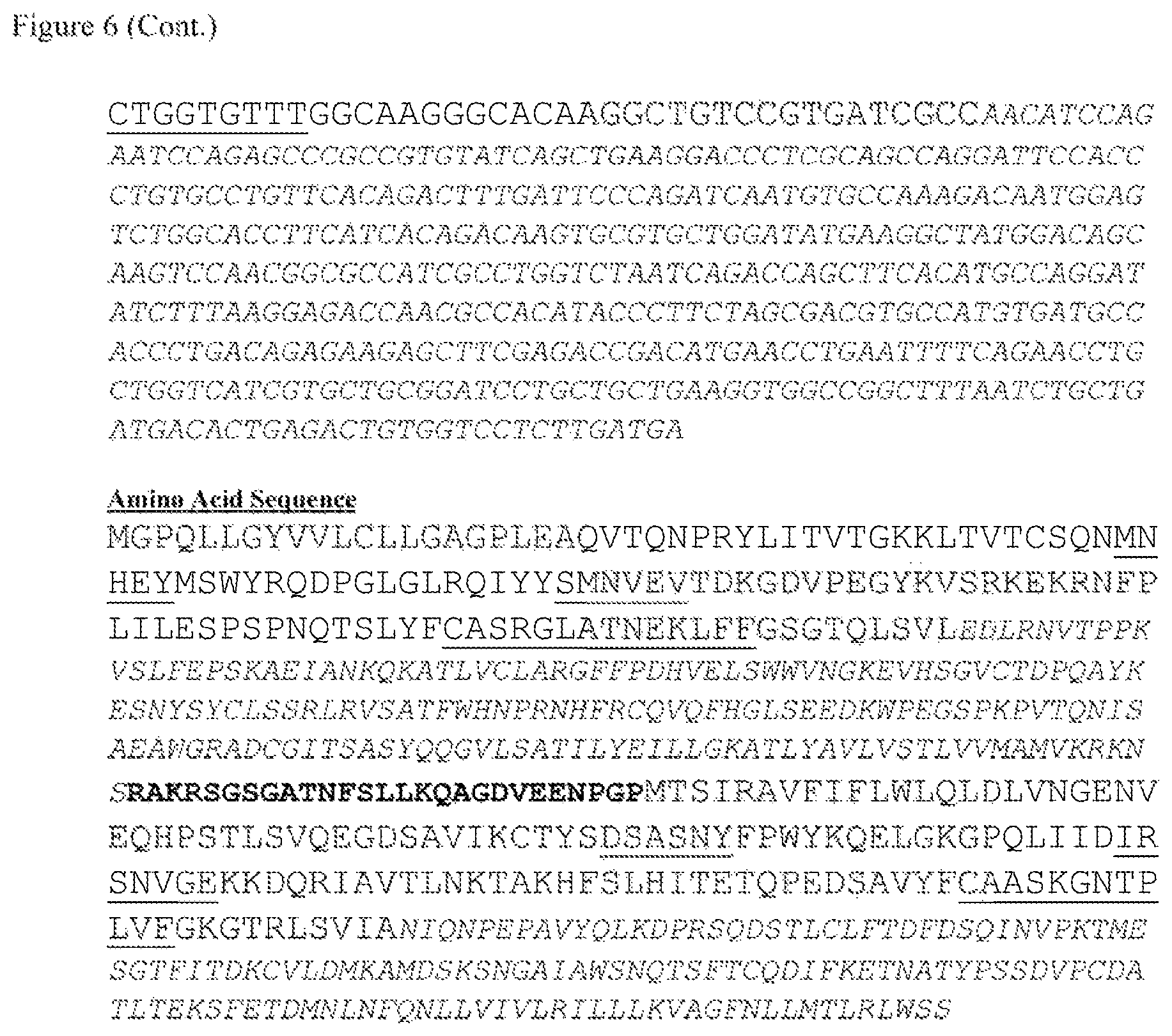 Patent US12612444 Figure 12 – T cell receptors targeting mutations in RNA splicing factors