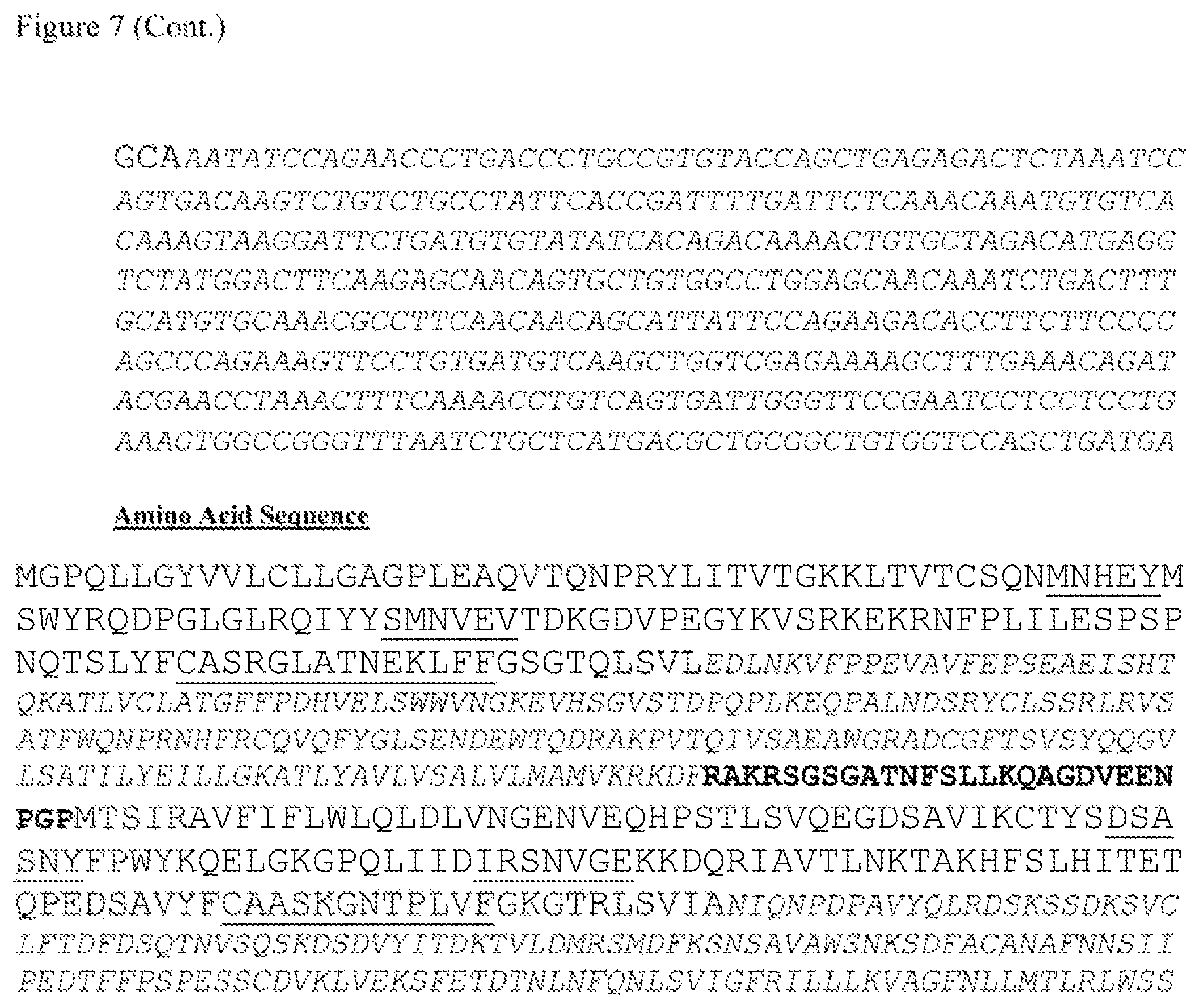 Patent US12612444 Figure 14 – T cell receptors targeting mutations in RNA splicing factors