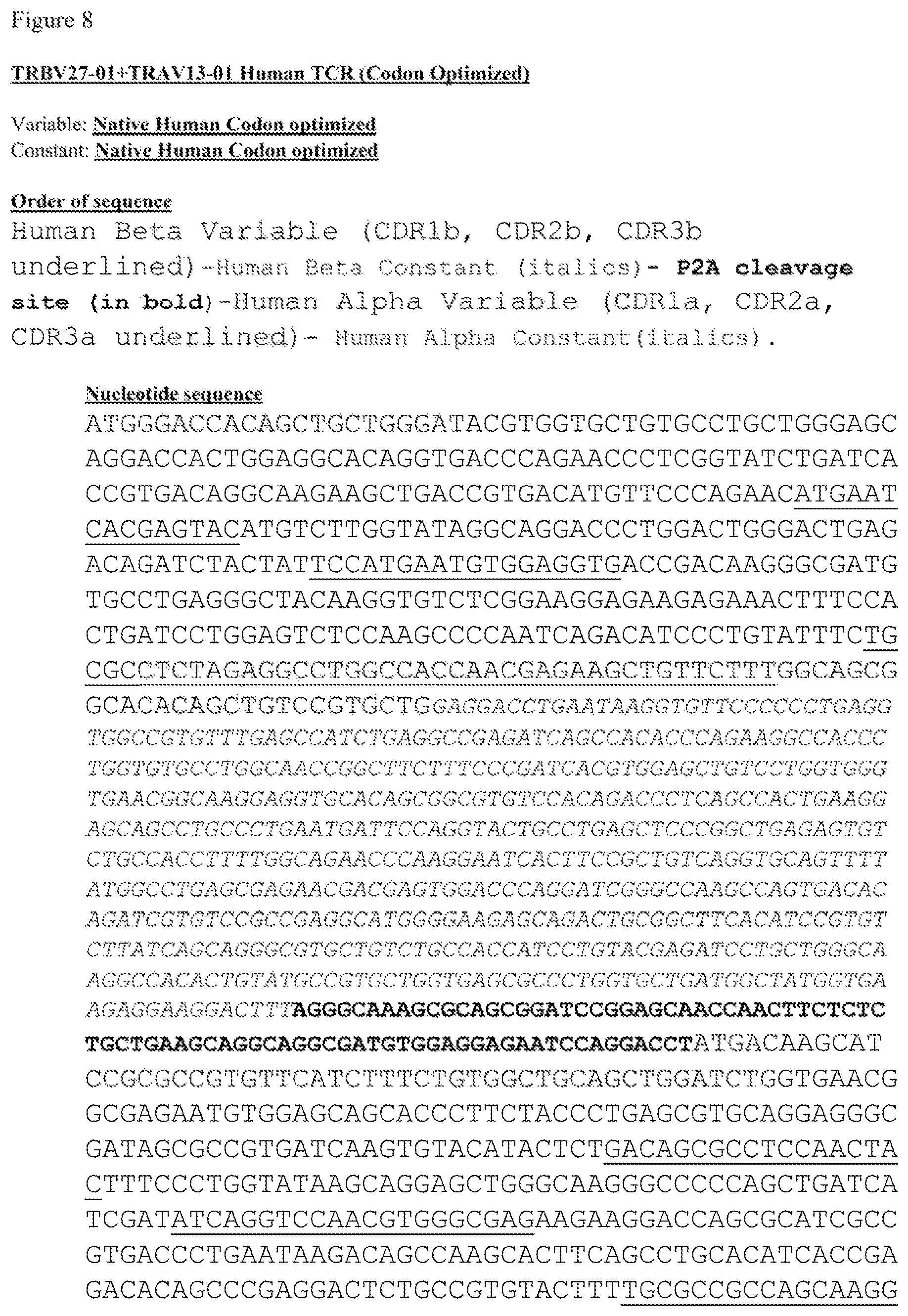 Patent US12612444 Figure 15 – T cell receptors targeting mutations in RNA splicing factors