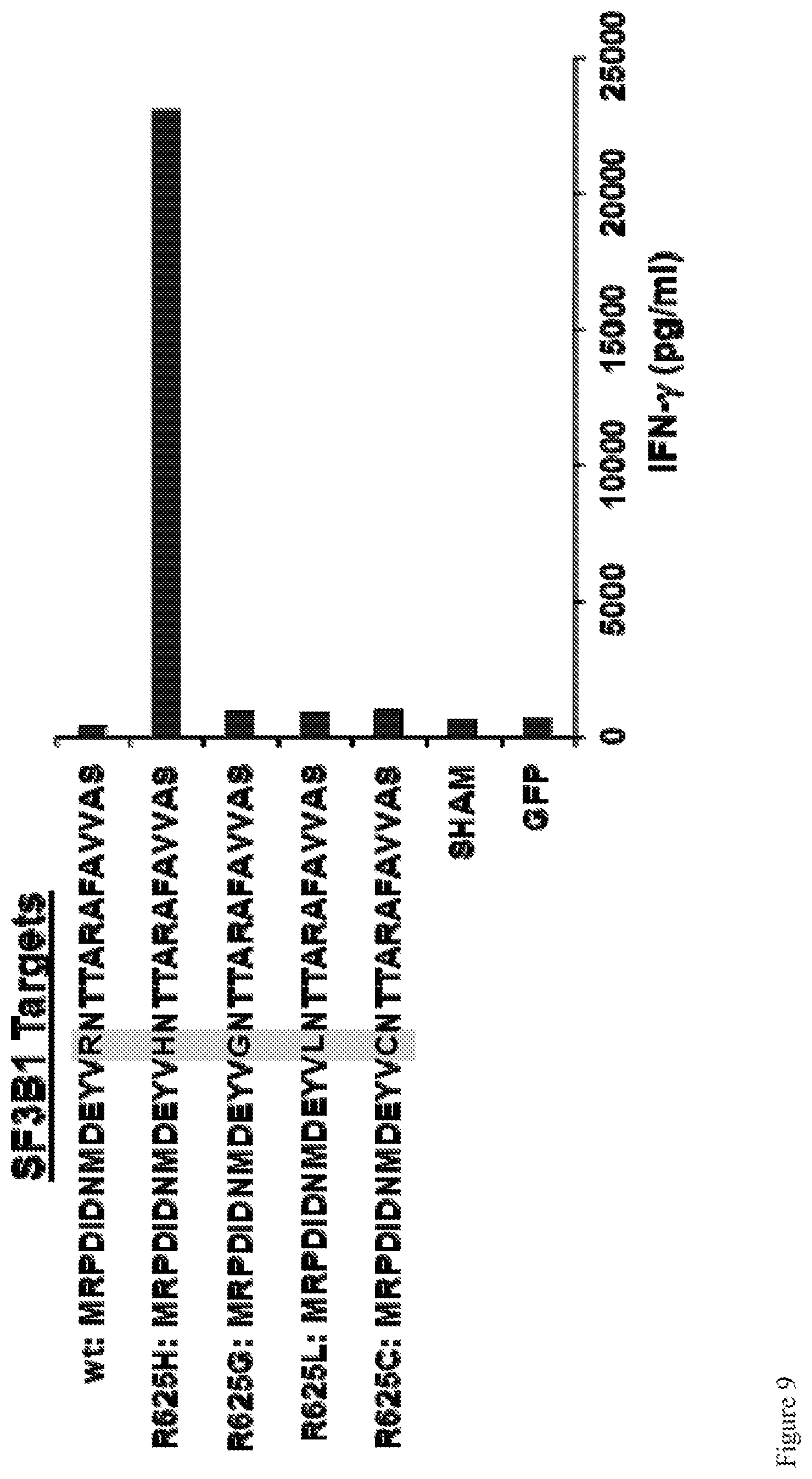 Patent US12612444 Figure 17 – T cell receptors targeting mutations in RNA splicing factors