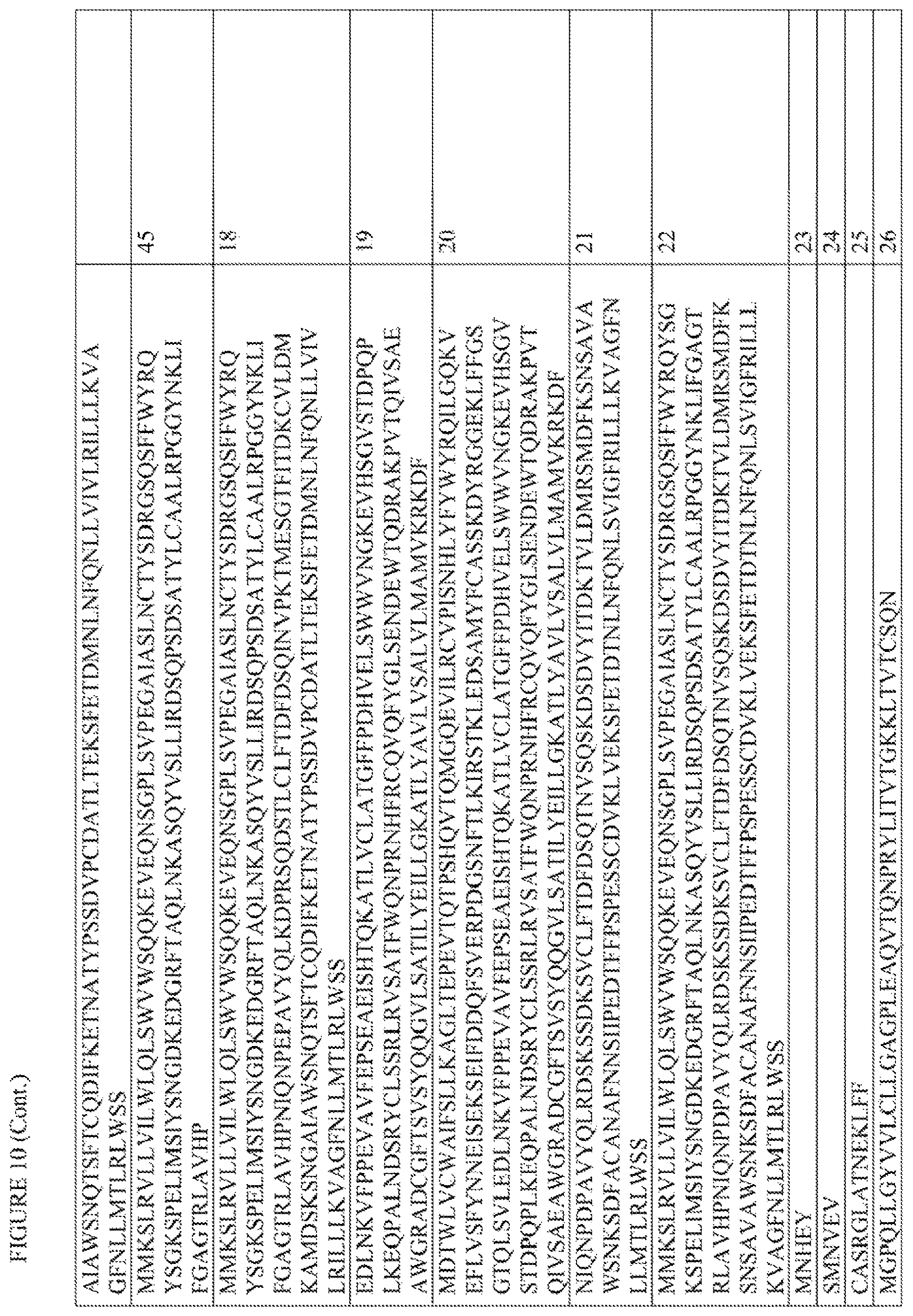 Patent US12612444 Figure 19 – T cell receptors targeting mutations in RNA splicing factors