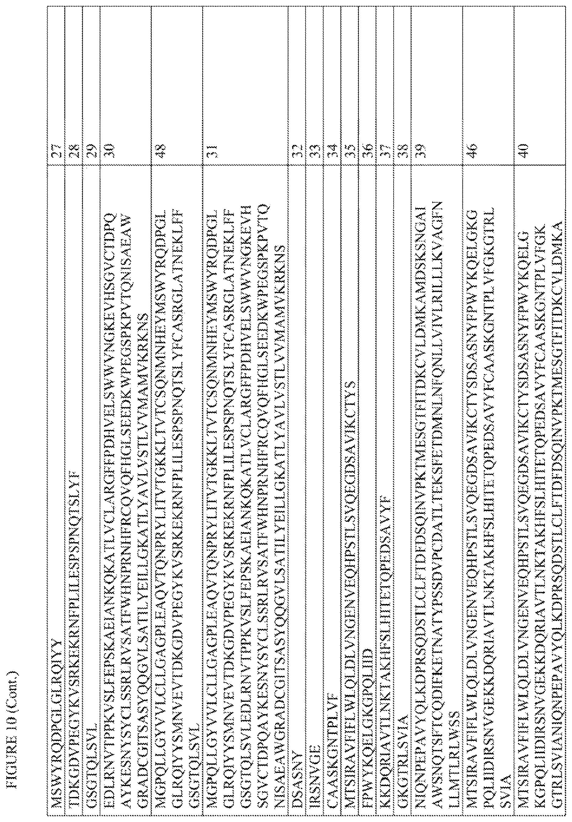 Patent US12612444 Figure 20 – T cell receptors targeting mutations in RNA splicing factors