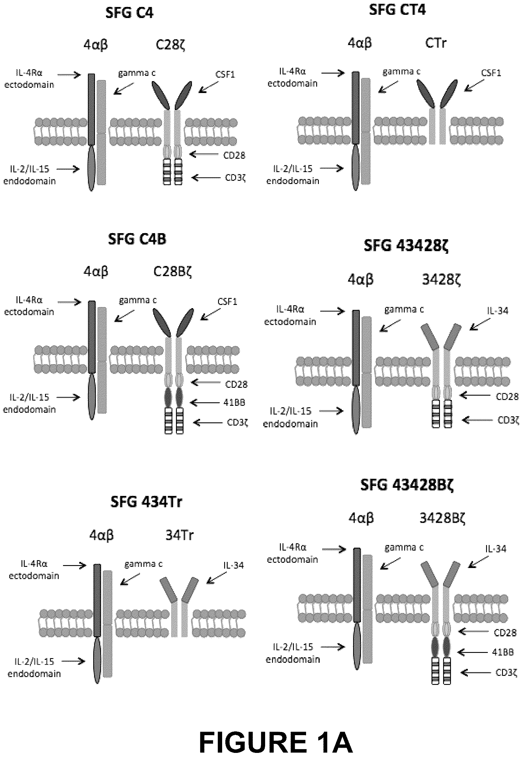 Patent US12612445 Figure 1 – Therapeutic agents