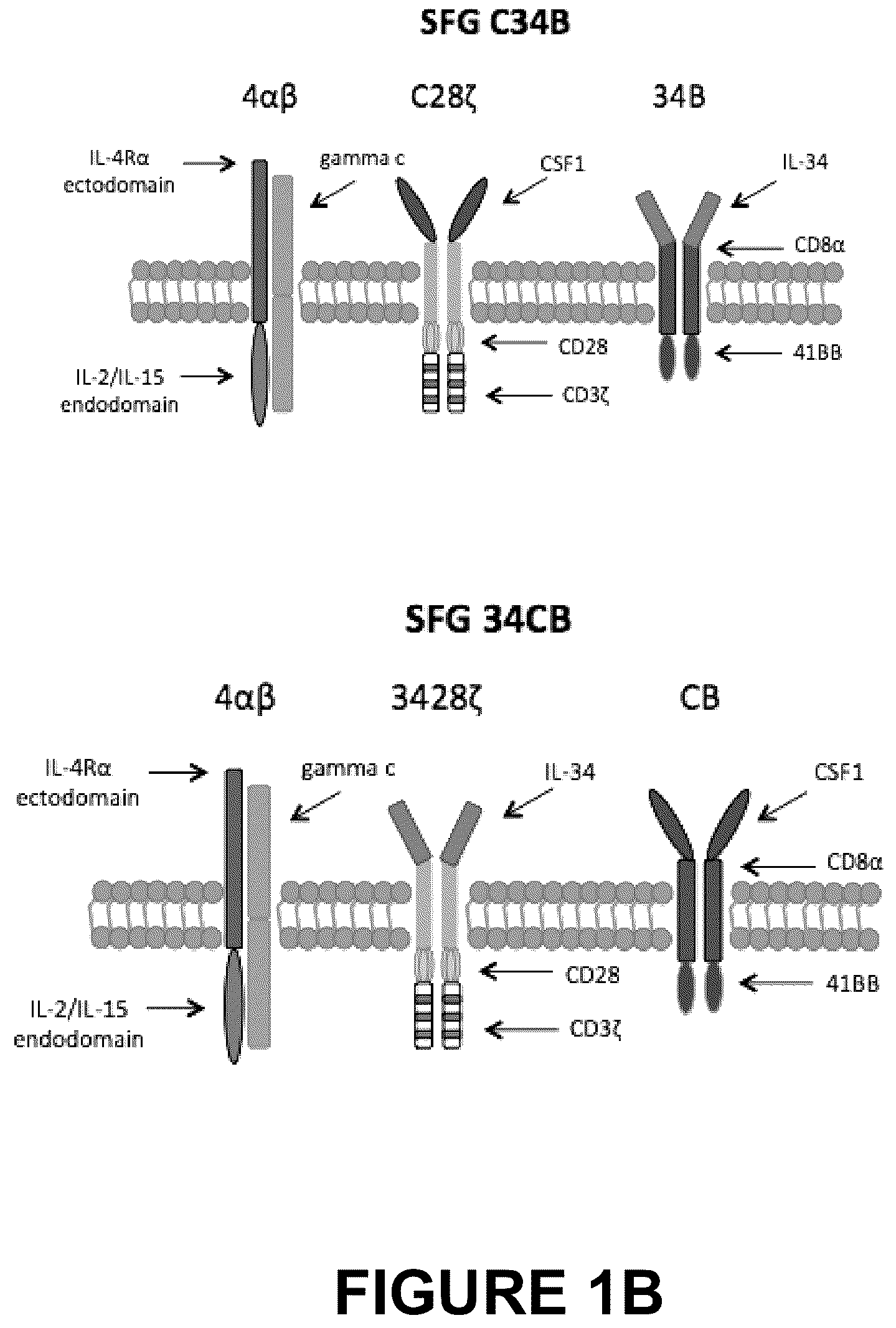 Patent US12612445 Figure 2 – Therapeutic agents