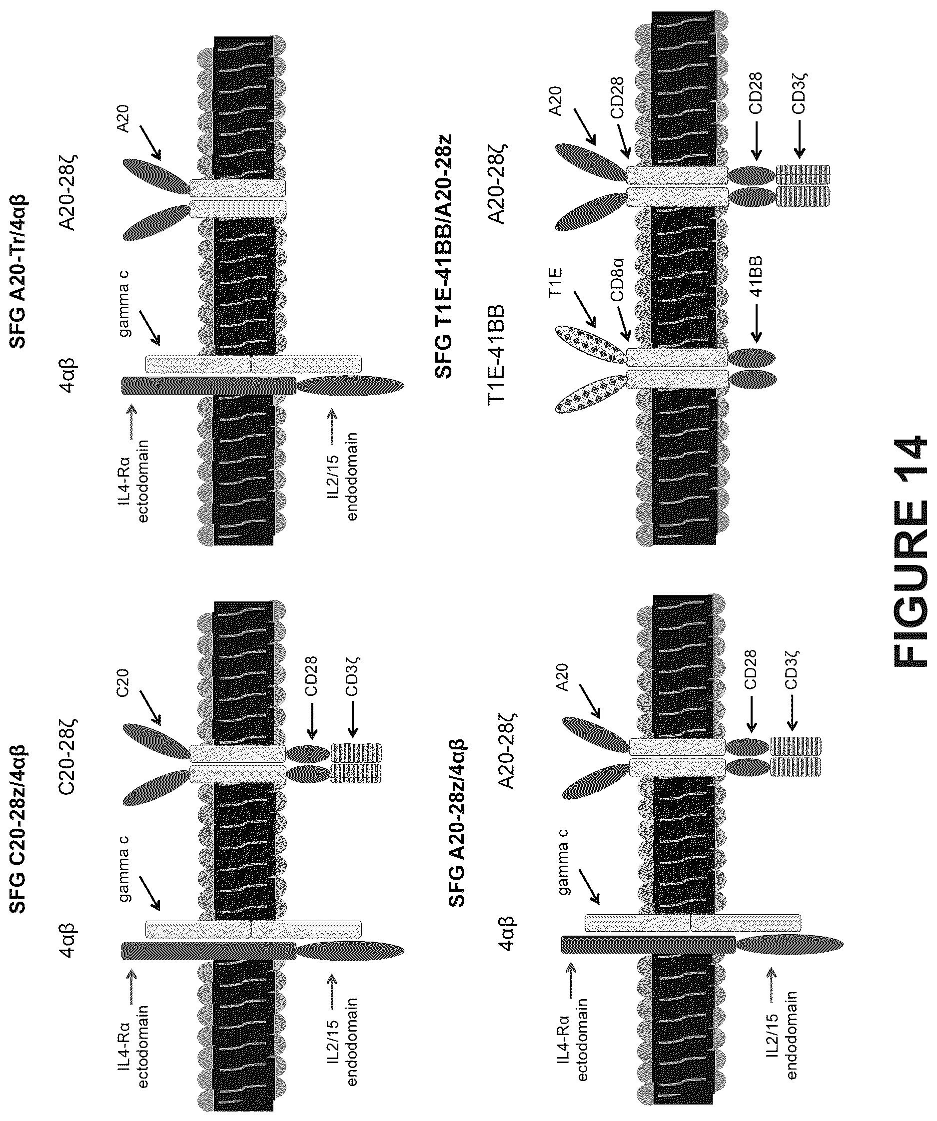 Patent US12612445 Figure 17 – Therapeutic agents