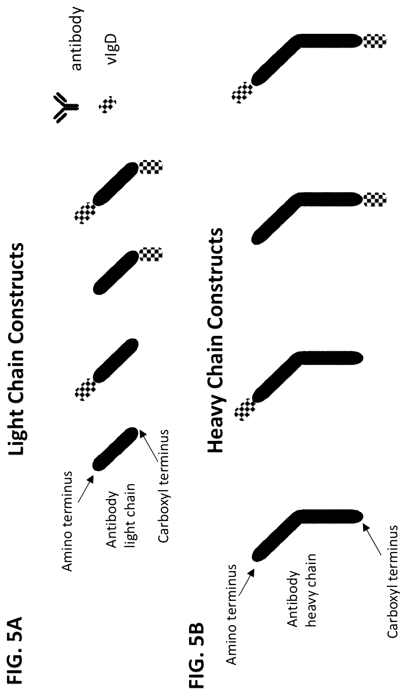 Patent US12612446 Figure 5 – CTLA-4 variant immunomodulatory proteins and uses thereof