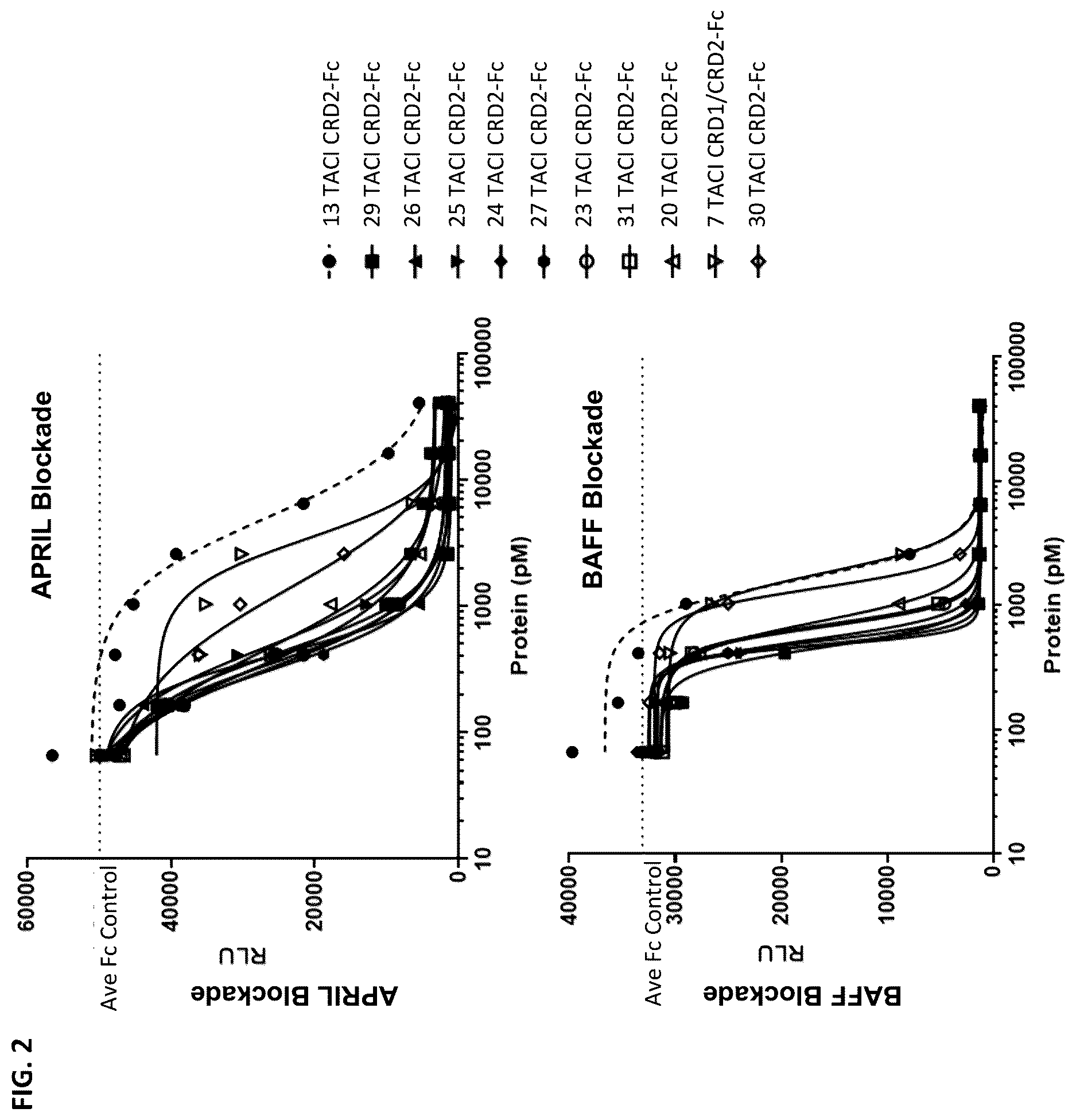 Patent US12612447 Figure 2 – April and BAFF inhibitory immunomodulatory proteins and methods of use thereof