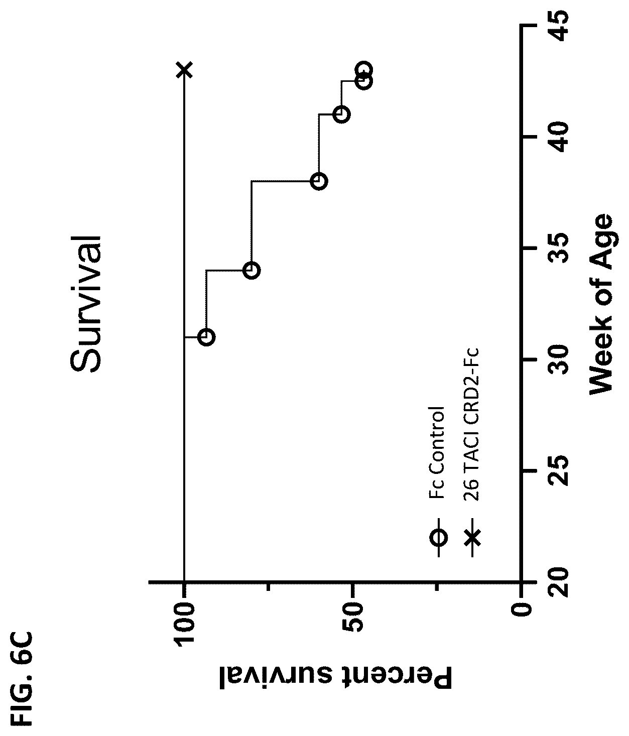 Patent US12612447 Figure 7 – April and BAFF inhibitory immunomodulatory proteins and methods of use thereof