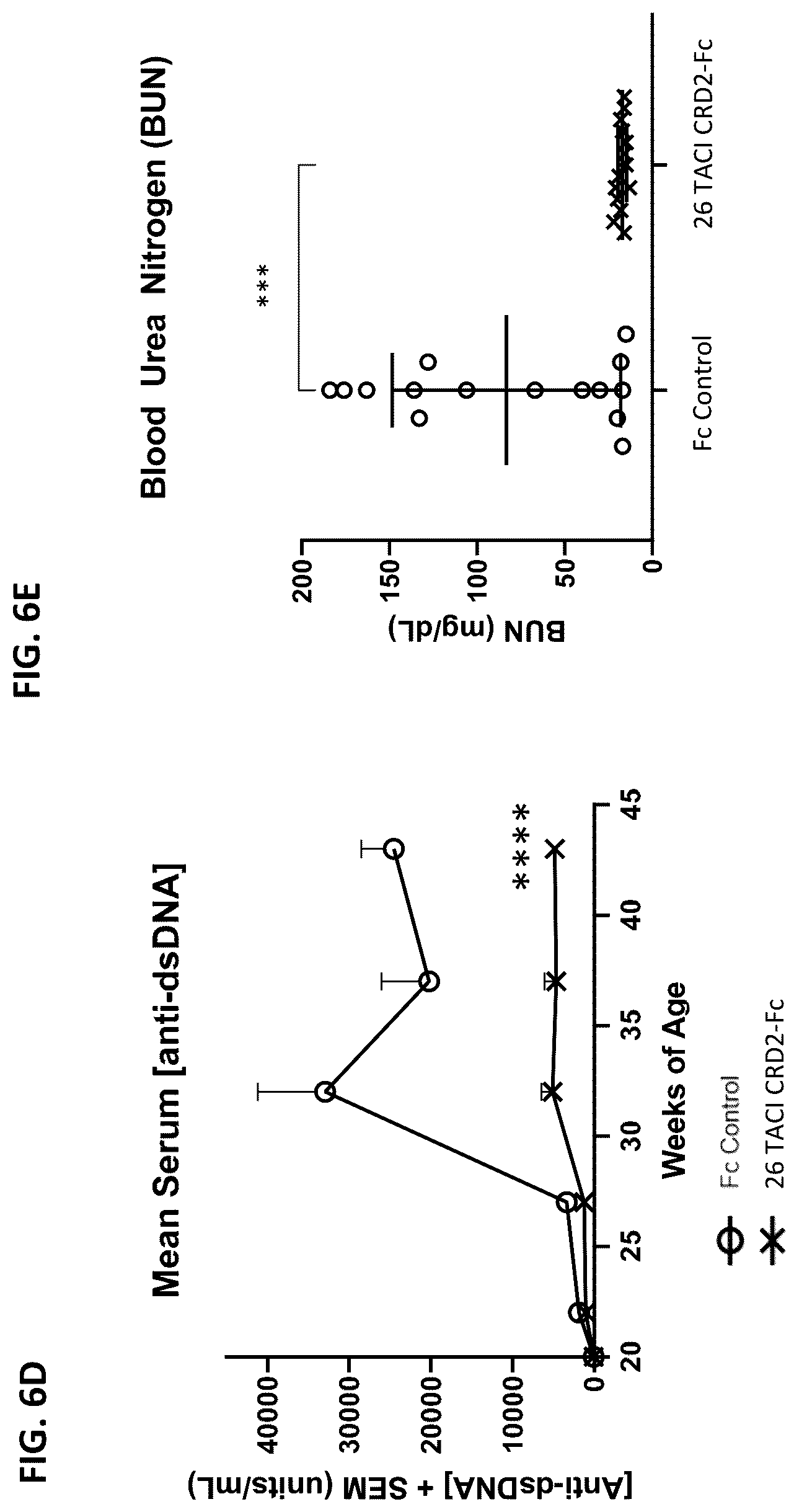 Patent US12612447 Figure 8 – April and BAFF inhibitory immunomodulatory proteins and methods of use thereof