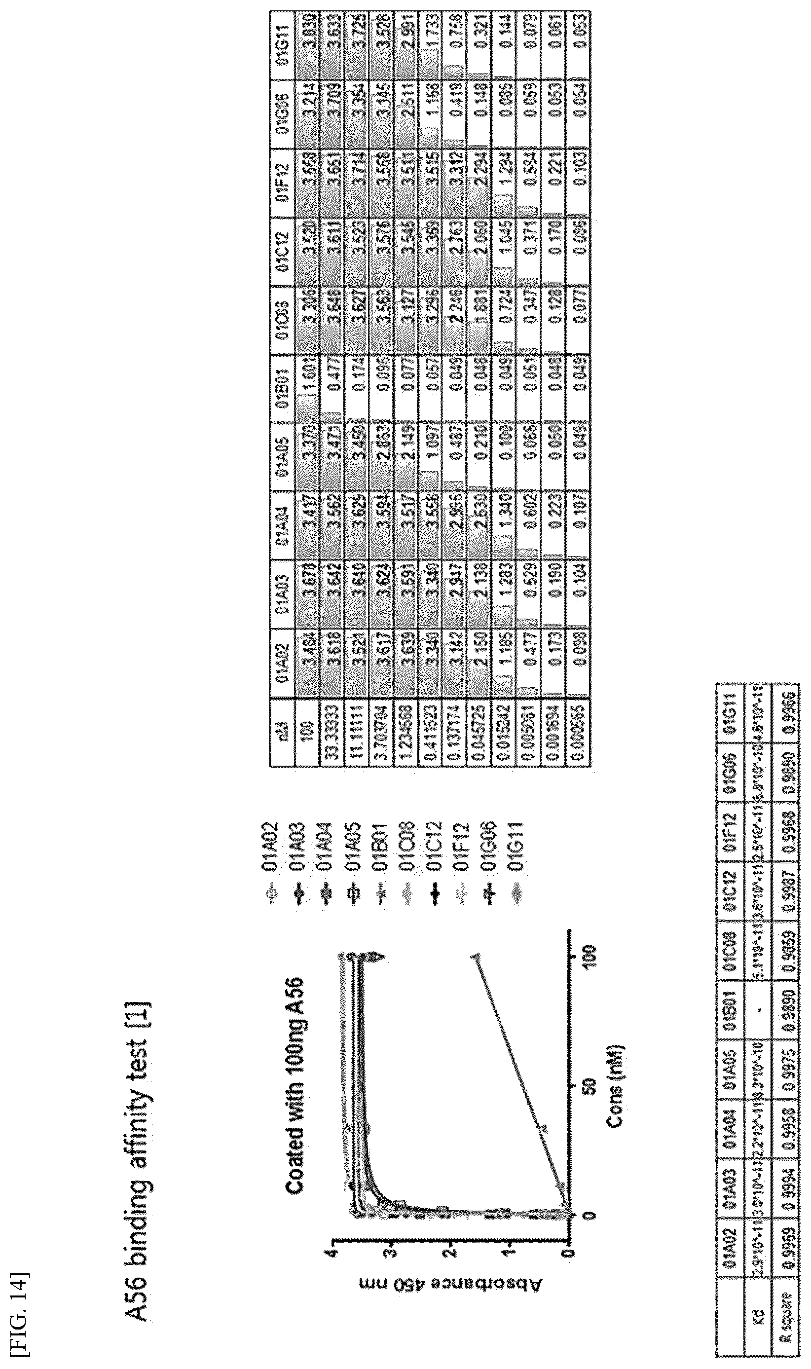 Patent US12612448 Figure 9 – Tumor-targeting A56 protein or fragment thereof, antibody binding to A56 protein, and use thereof