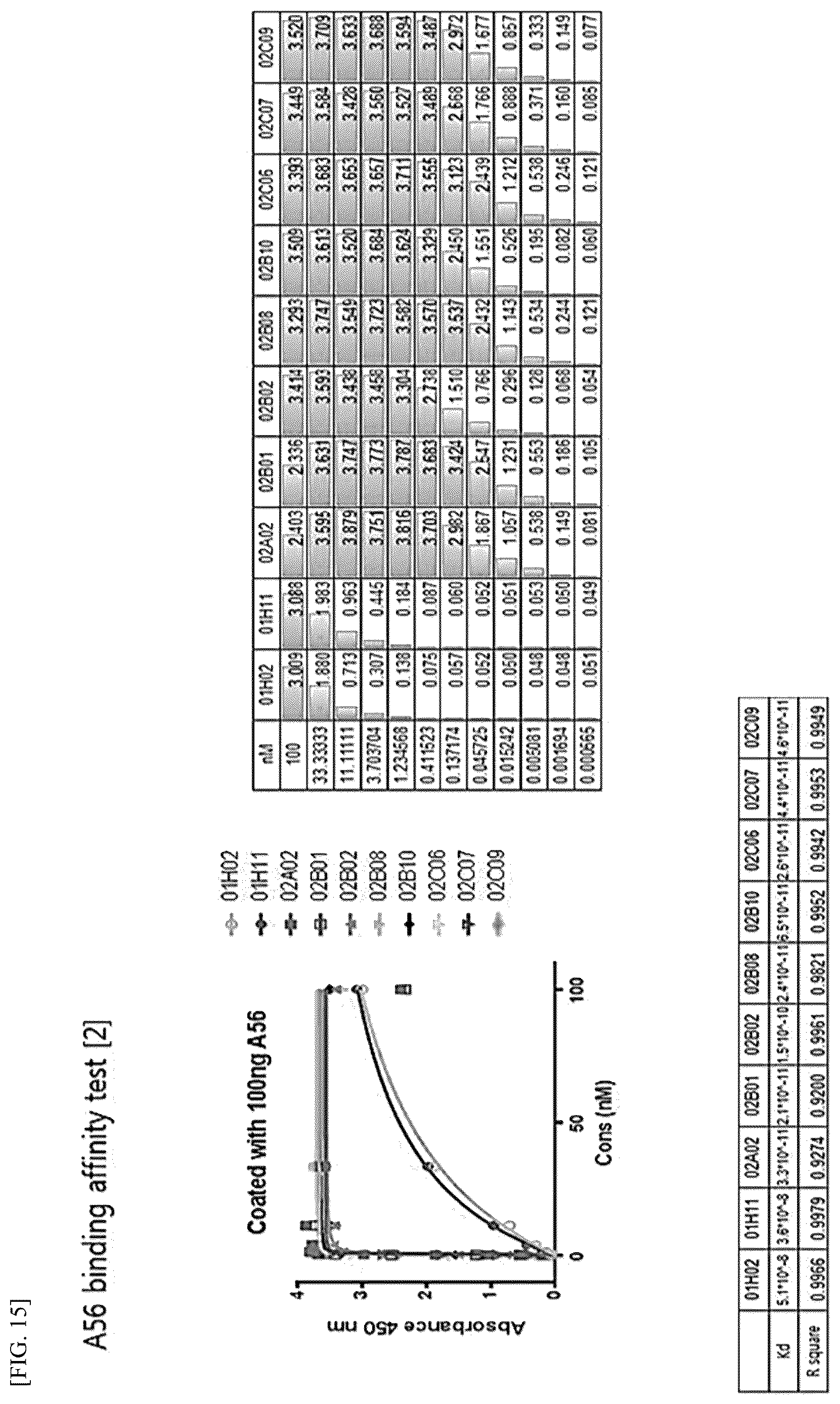 Patent US12612448 Figure 10 – Tumor-targeting A56 protein or fragment thereof, antibody binding to A56 protein, and use thereof