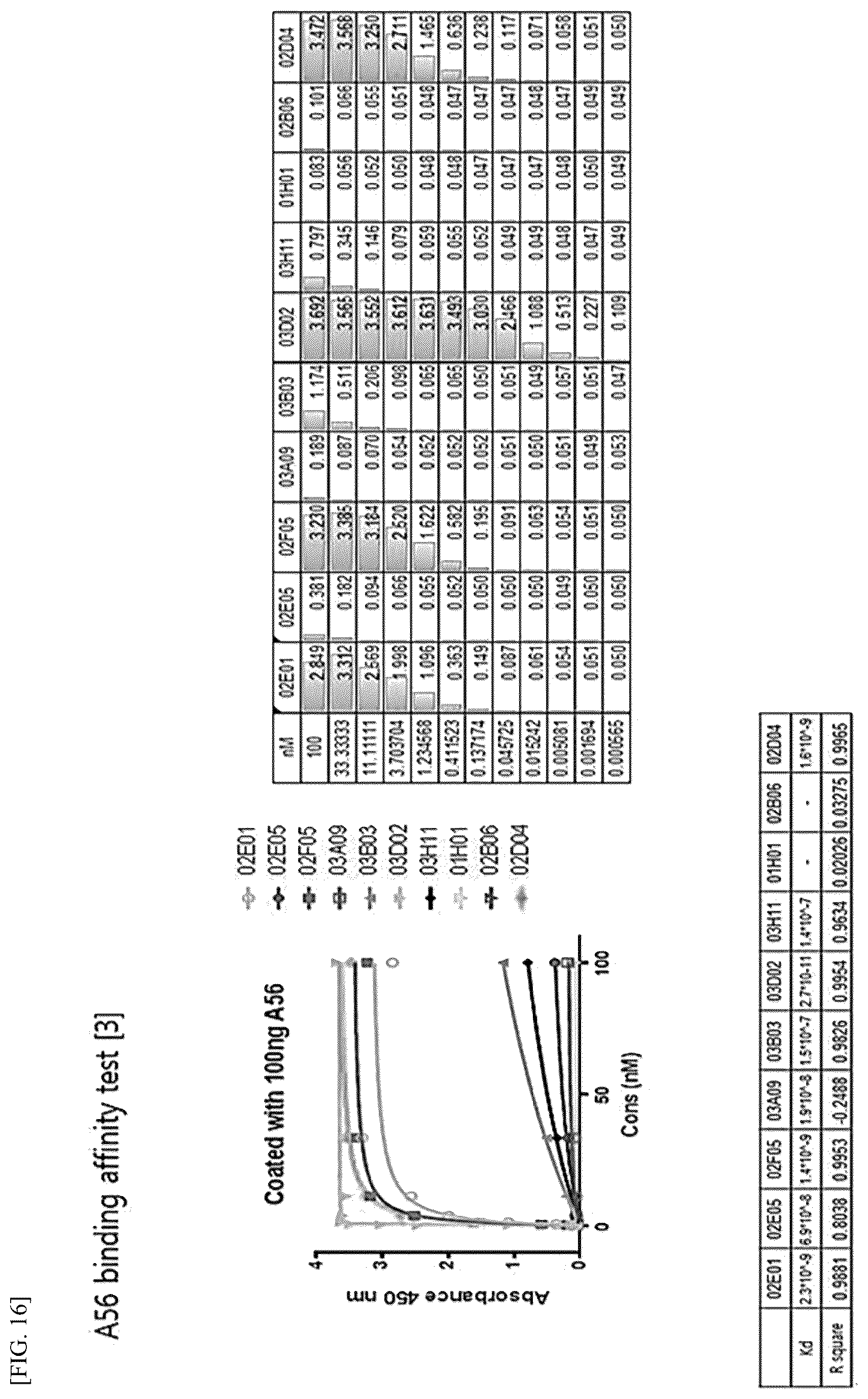 Patent US12612448 Figure 11 – Tumor-targeting A56 protein or fragment thereof, antibody binding to A56 protein, and use thereof
