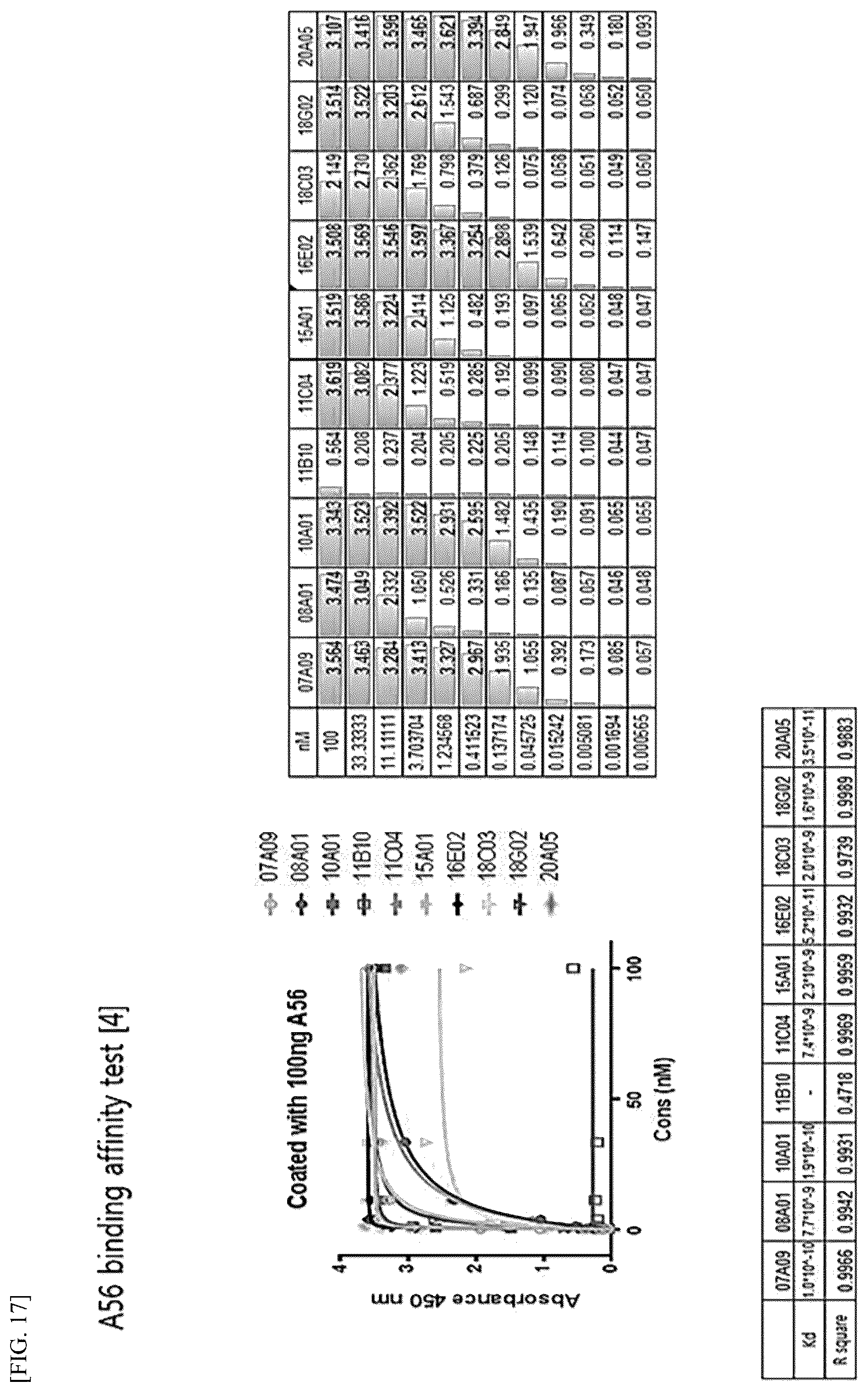 Patent US12612448 Figure 12 – Tumor-targeting A56 protein or fragment thereof, antibody binding to A56 protein, and use thereof