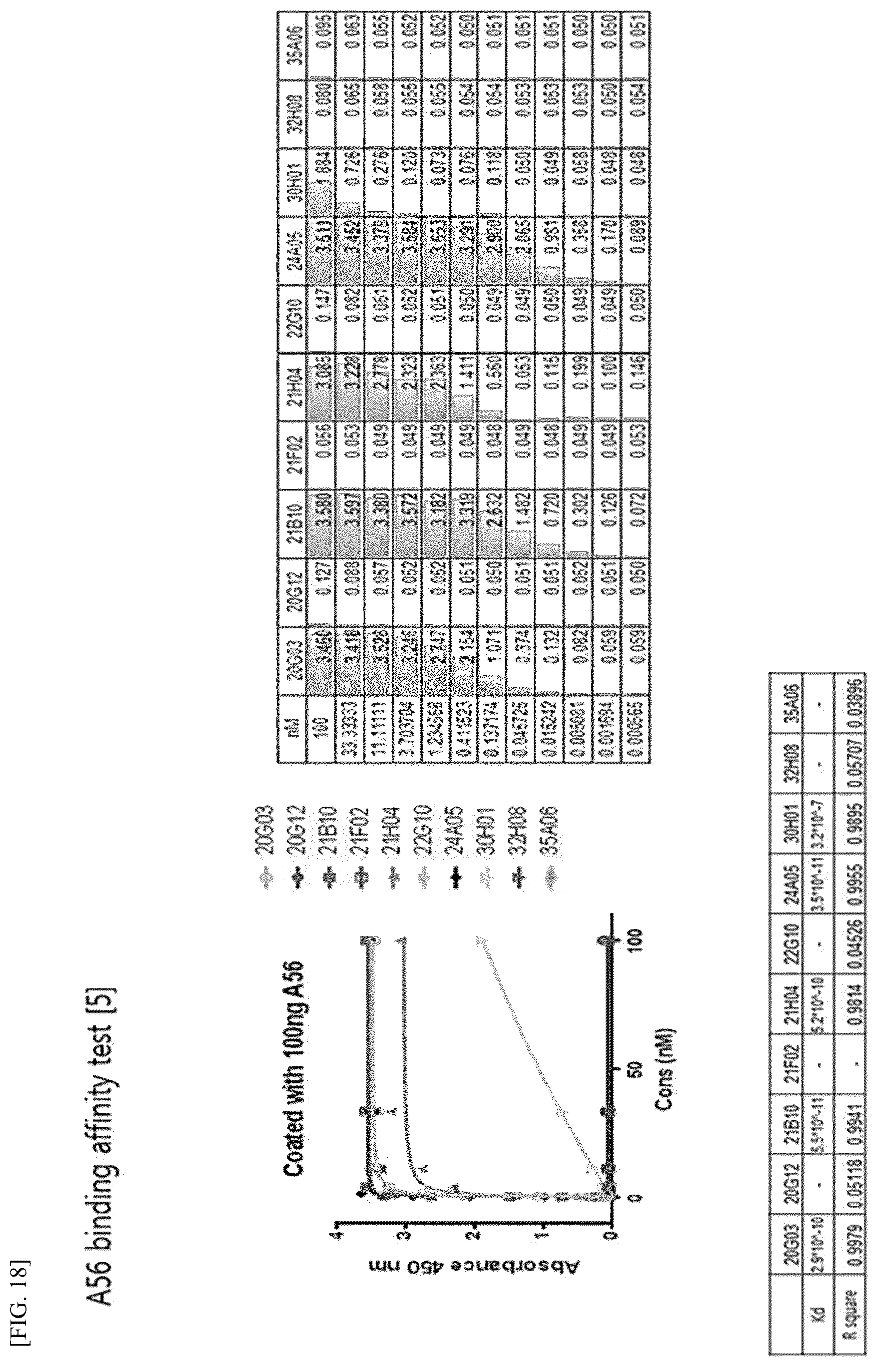 Patent US12612448 Figure 13 – Tumor-targeting A56 protein or fragment thereof, antibody binding to A56 protein, and use thereof