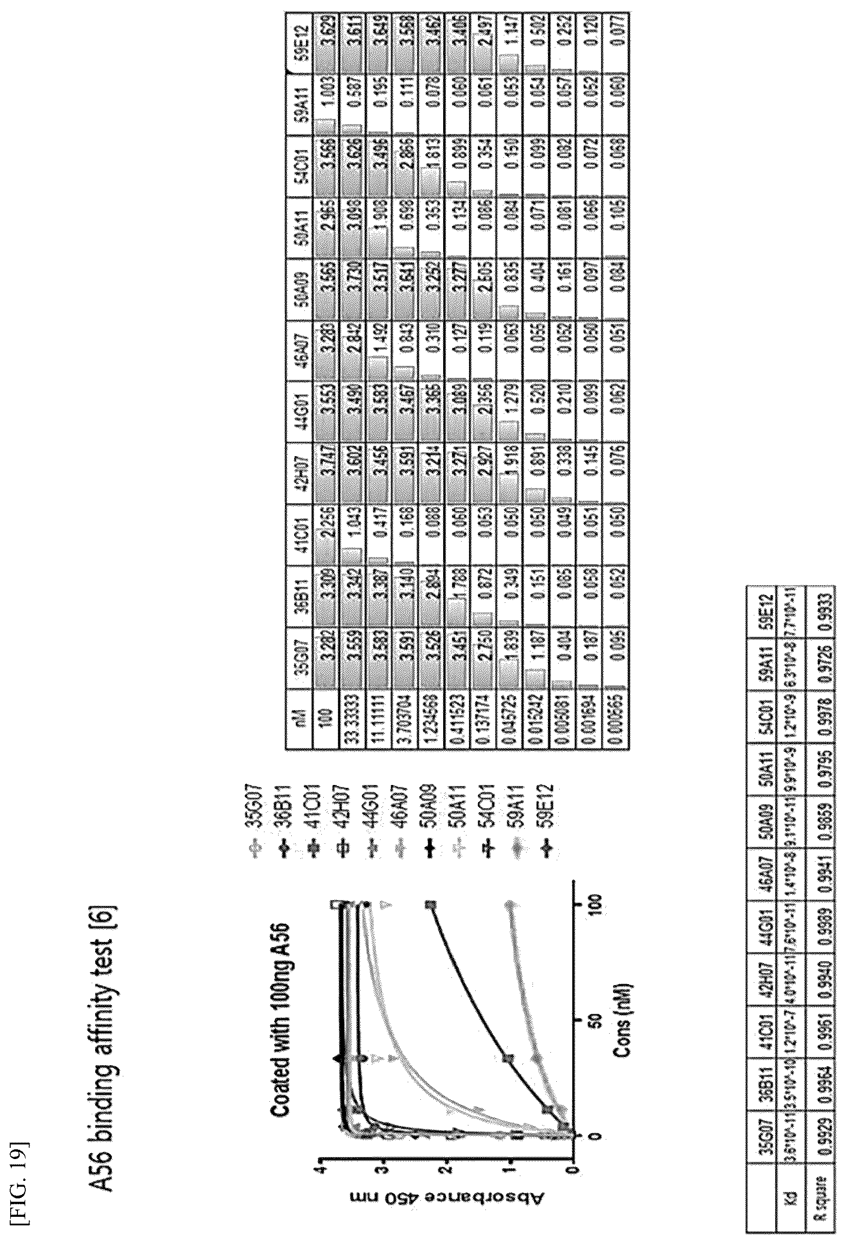 Patent US12612448 Figure 14 – Tumor-targeting A56 protein or fragment thereof, antibody binding to A56 protein, and use thereof