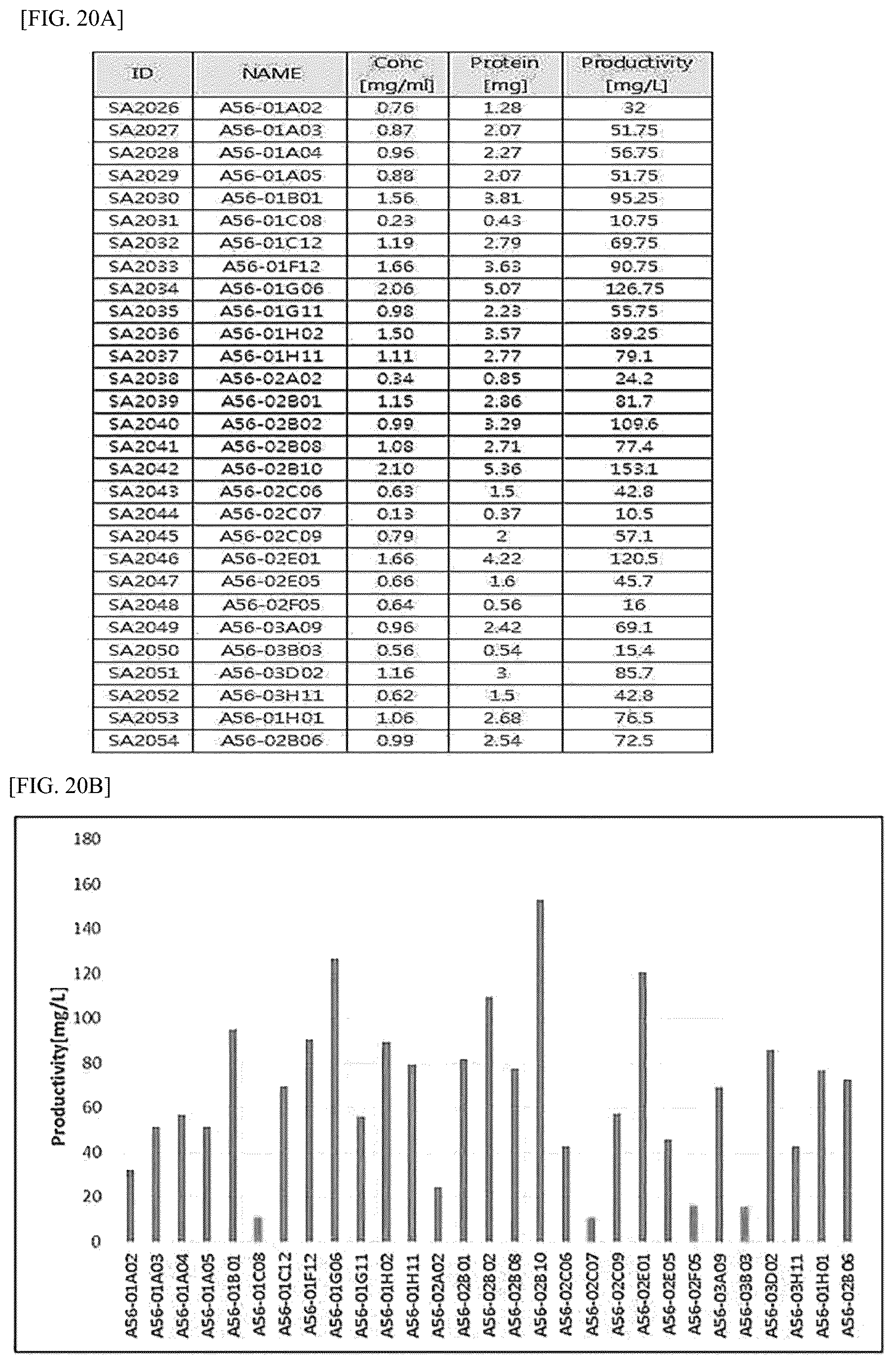 Patent US12612448 Figure 15 – Tumor-targeting A56 protein or fragment thereof, antibody binding to A56 protein, and use thereof