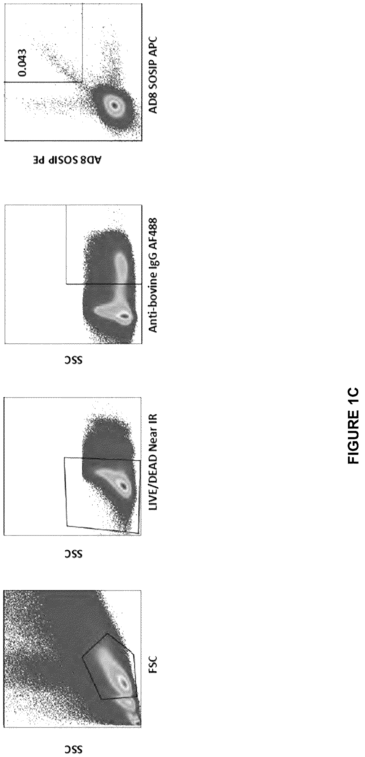 Patent US12612449 Figure 3 – HIV-1 antibodies