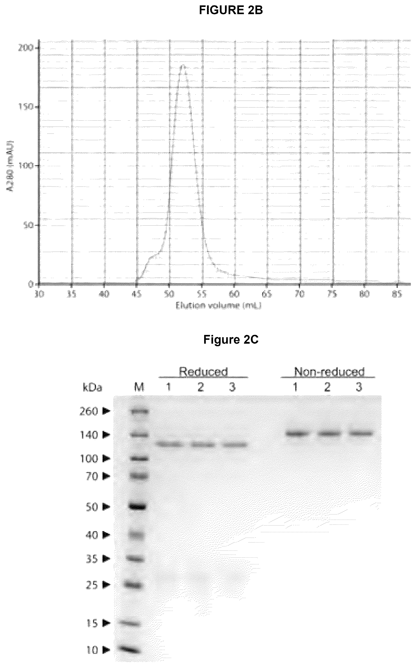 Patent US12612449 Figure 7 – HIV-1 antibodies