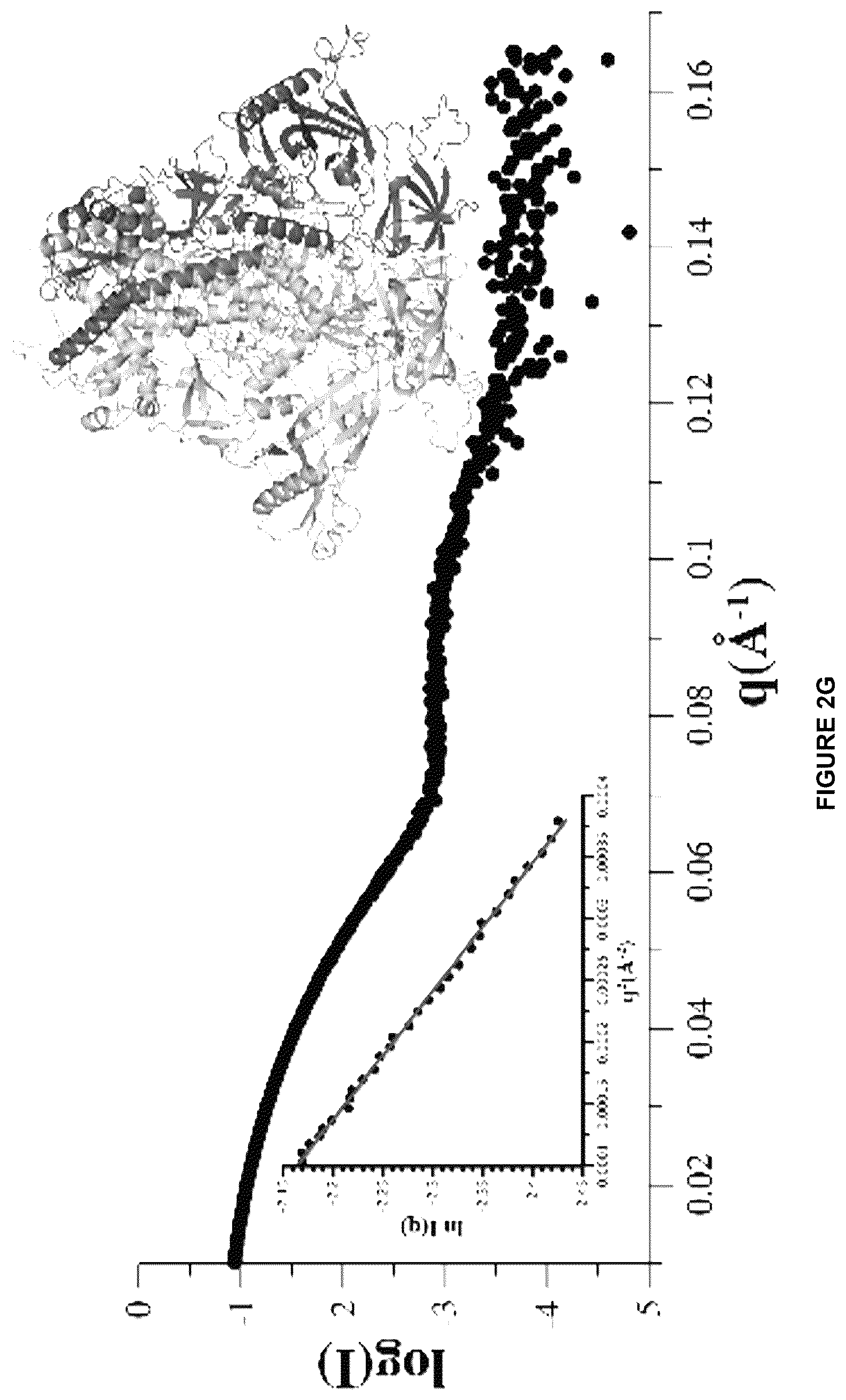 Patent US12612449 Figure 10 – HIV-1 antibodies