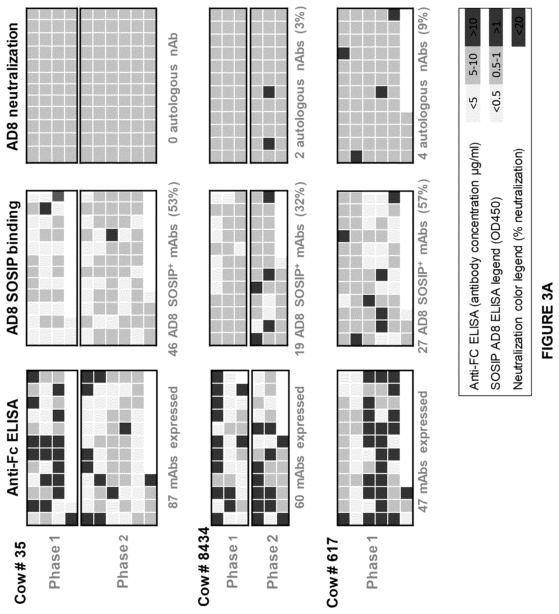 Patent US12612449 Figure 13 – HIV-1 antibodies