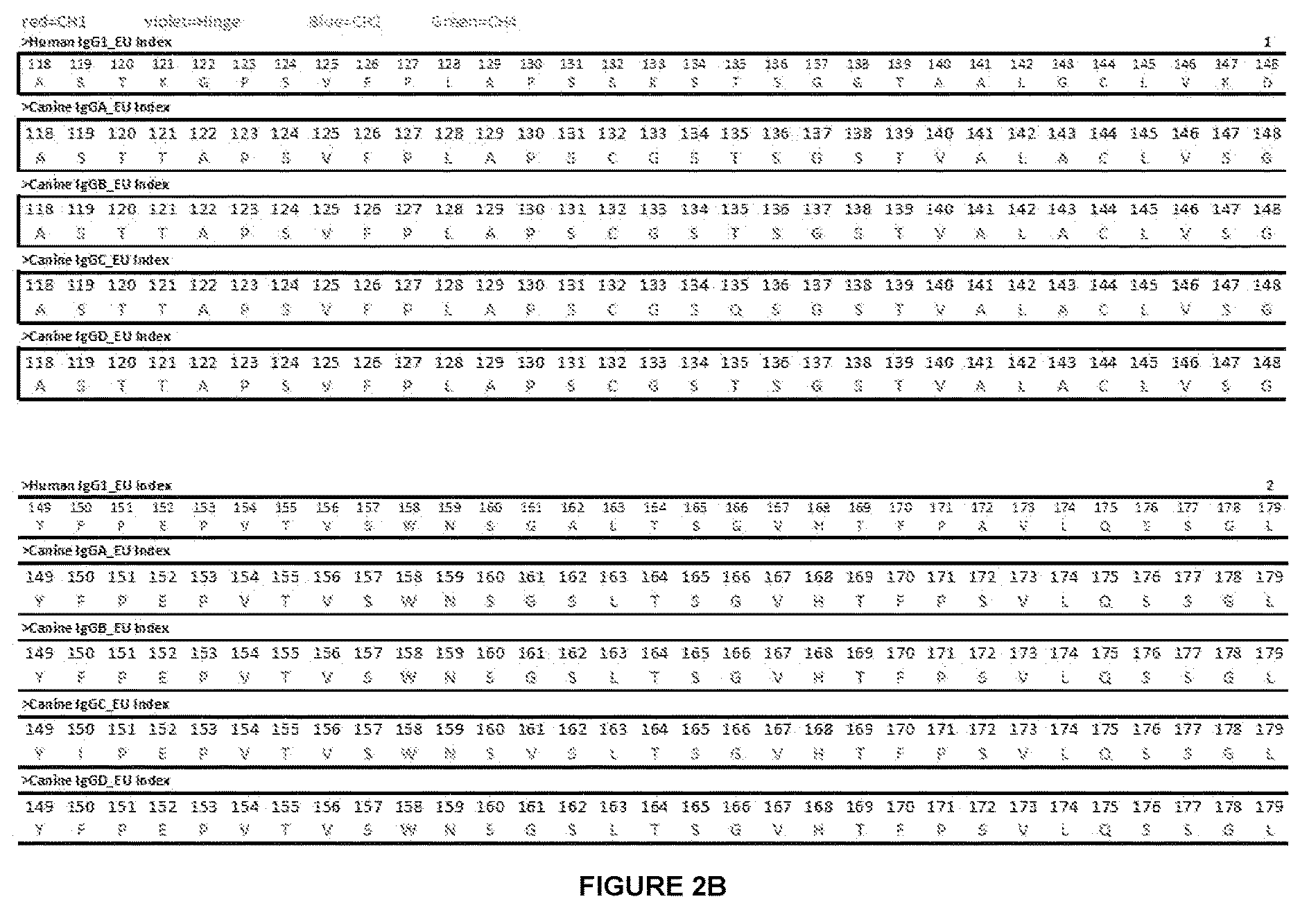 Patent US12612454 Figure 3 – Canine antibody variants