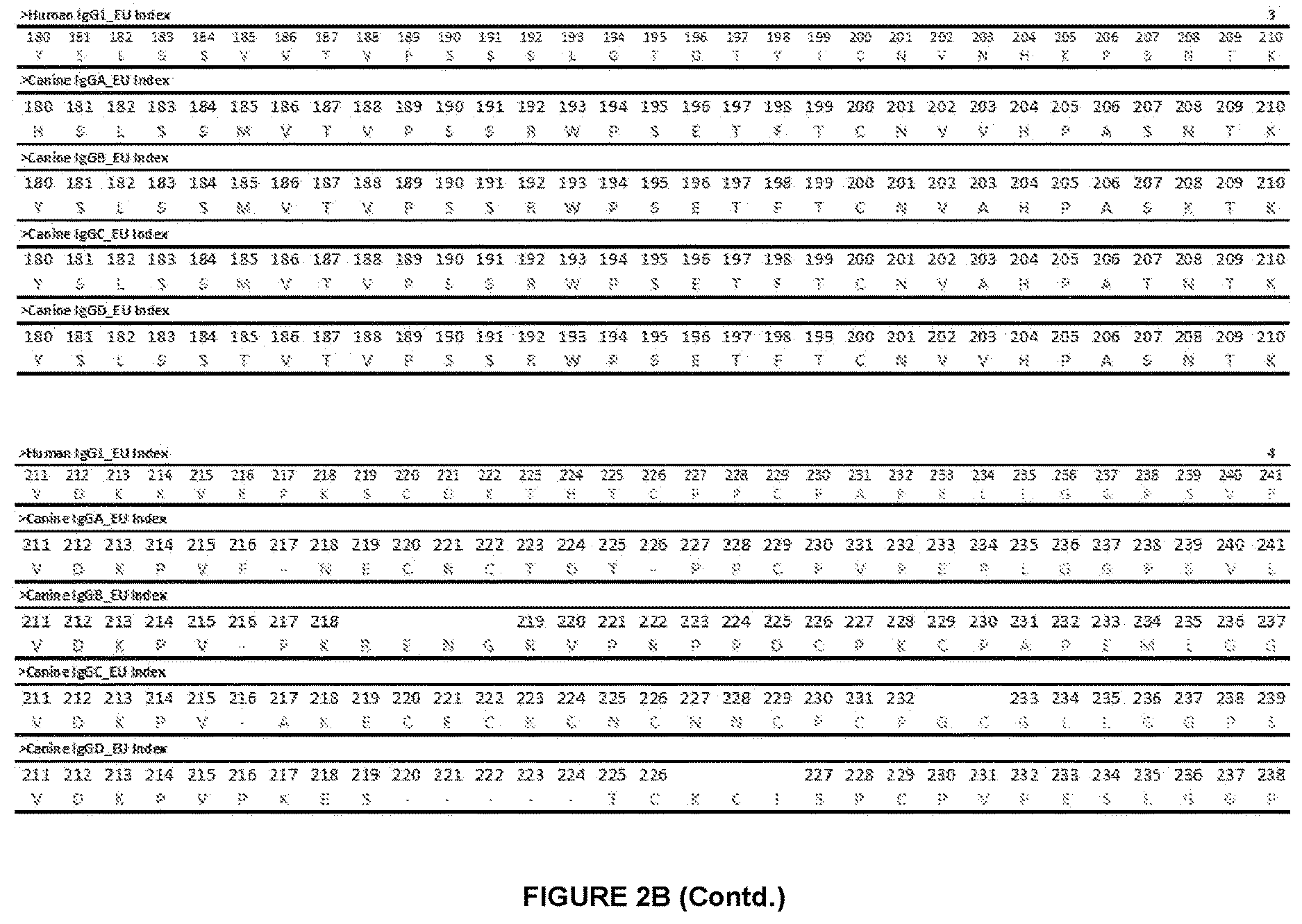 Patent US12612454 Figure 4 – Canine antibody variants