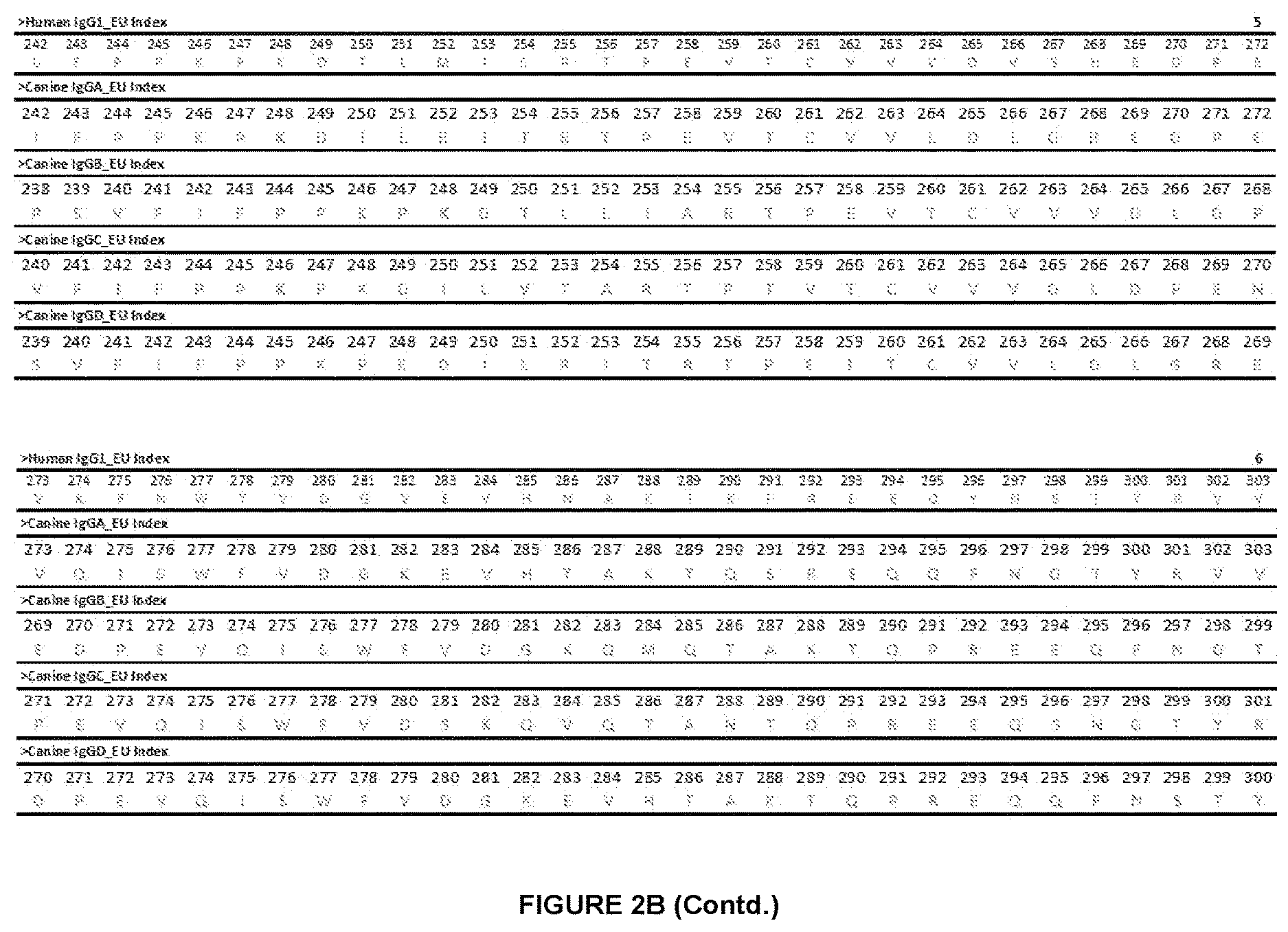 Patent US12612454 Figure 5 – Canine antibody variants