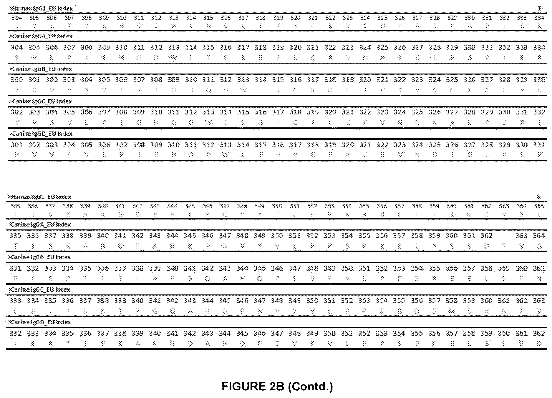Patent US12612454 Figure 6 – Canine antibody variants