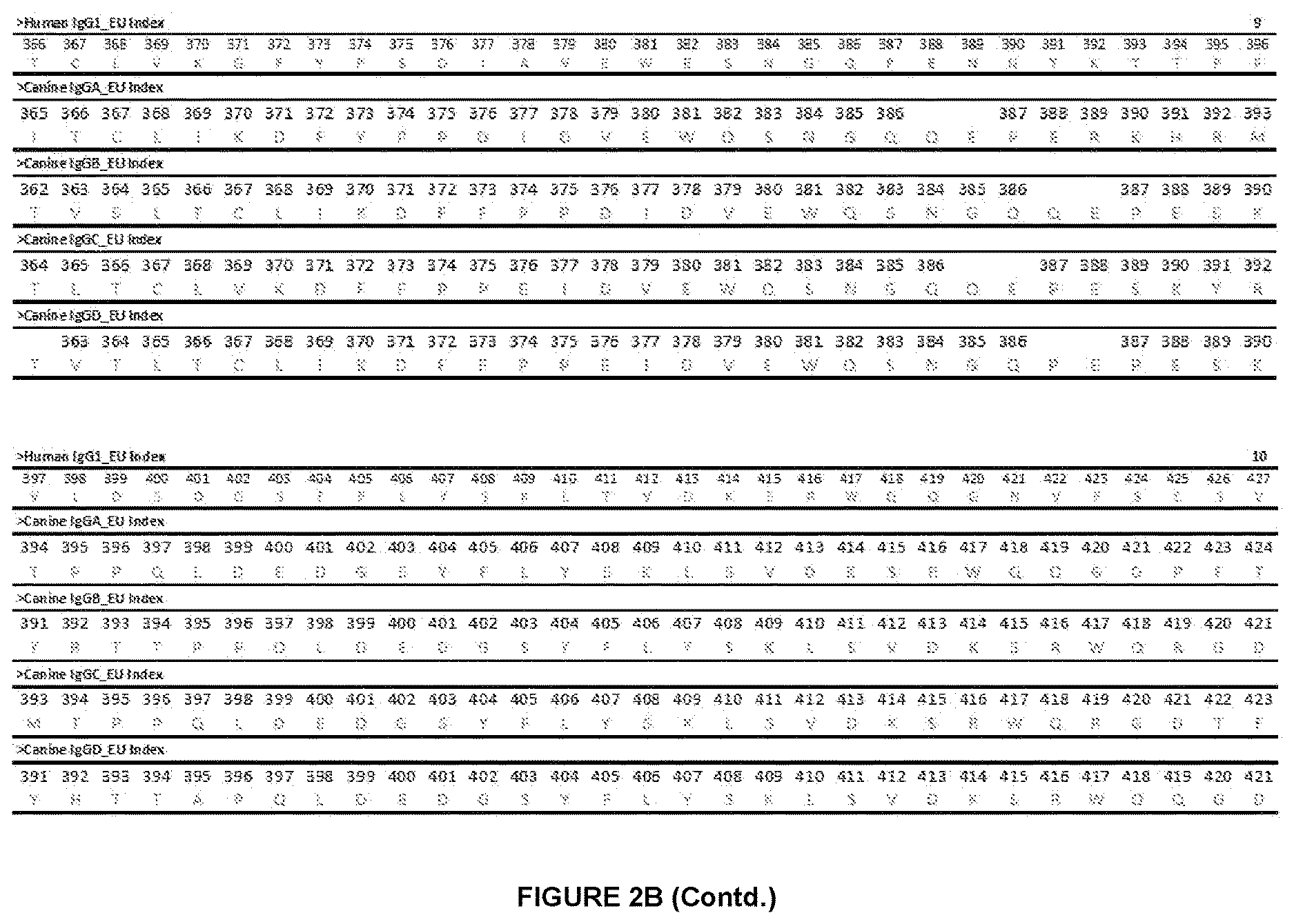 Patent US12612454 Figure 7 – Canine antibody variants