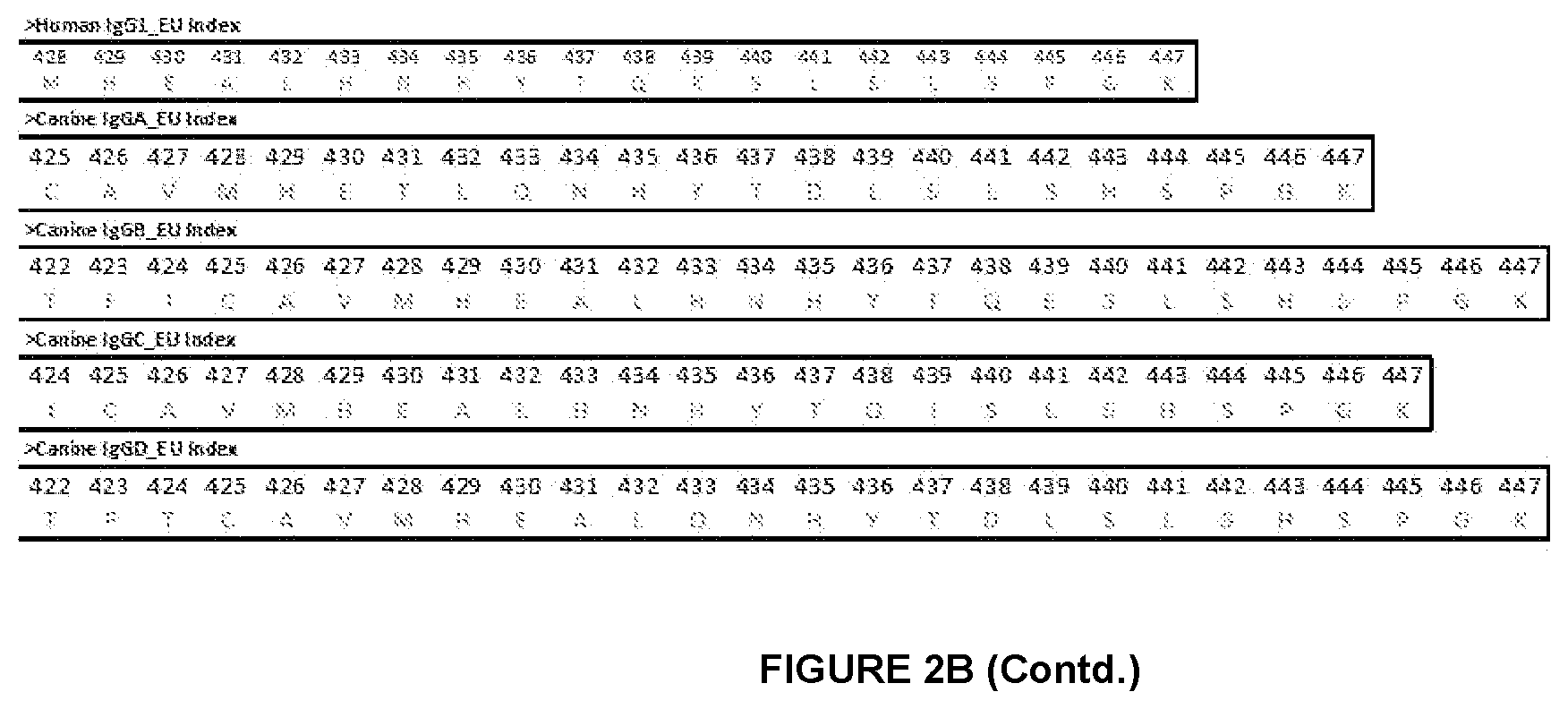 Patent US12612454 Figure 8 – Canine antibody variants