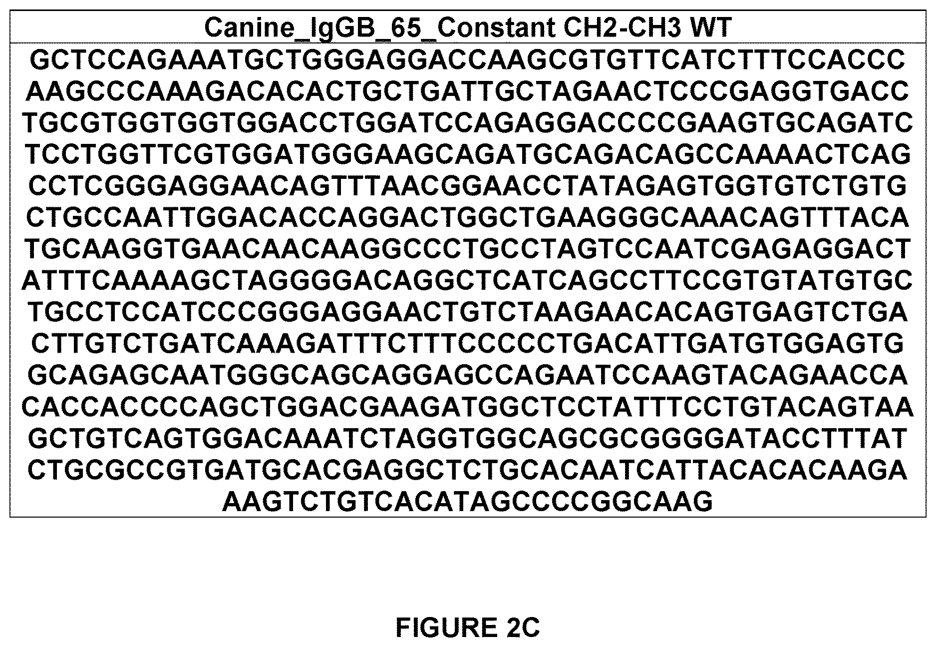 Patent US12612454 Figure 9 – Canine antibody variants