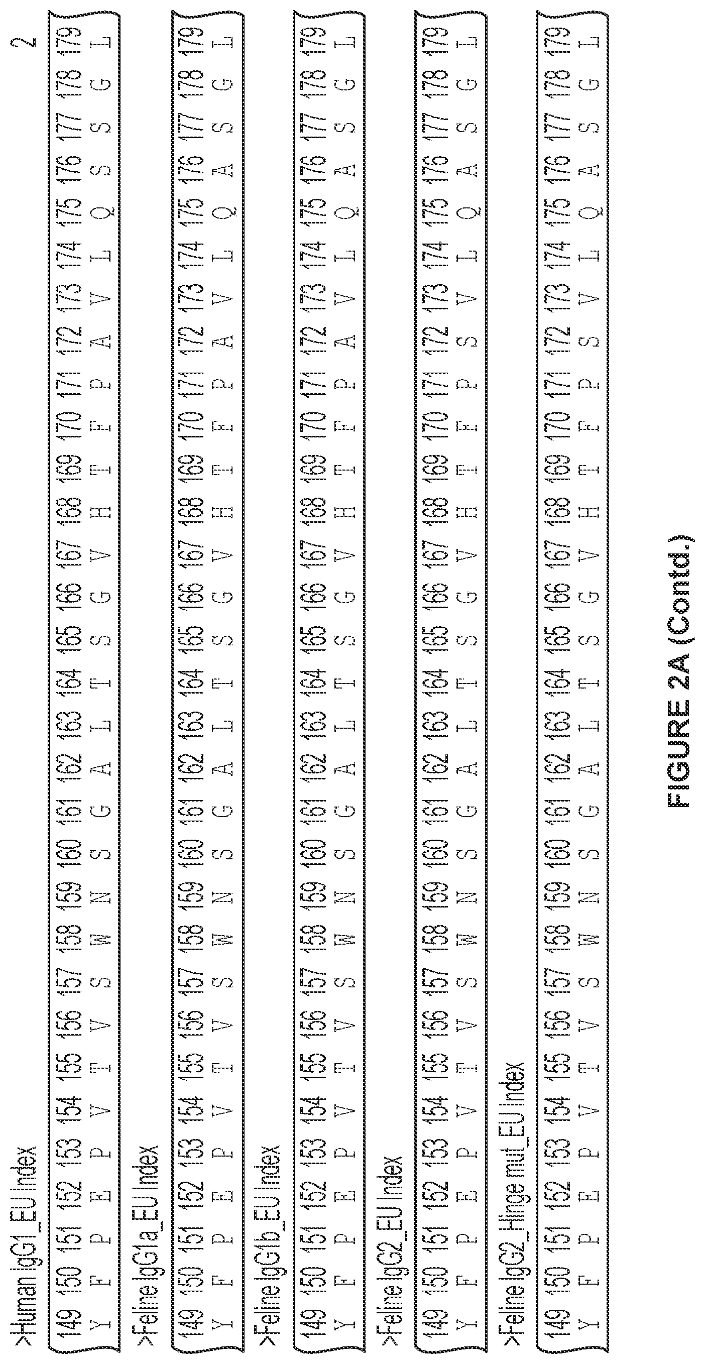 Patent US12612455 Figure 3 – Feline antibody variants