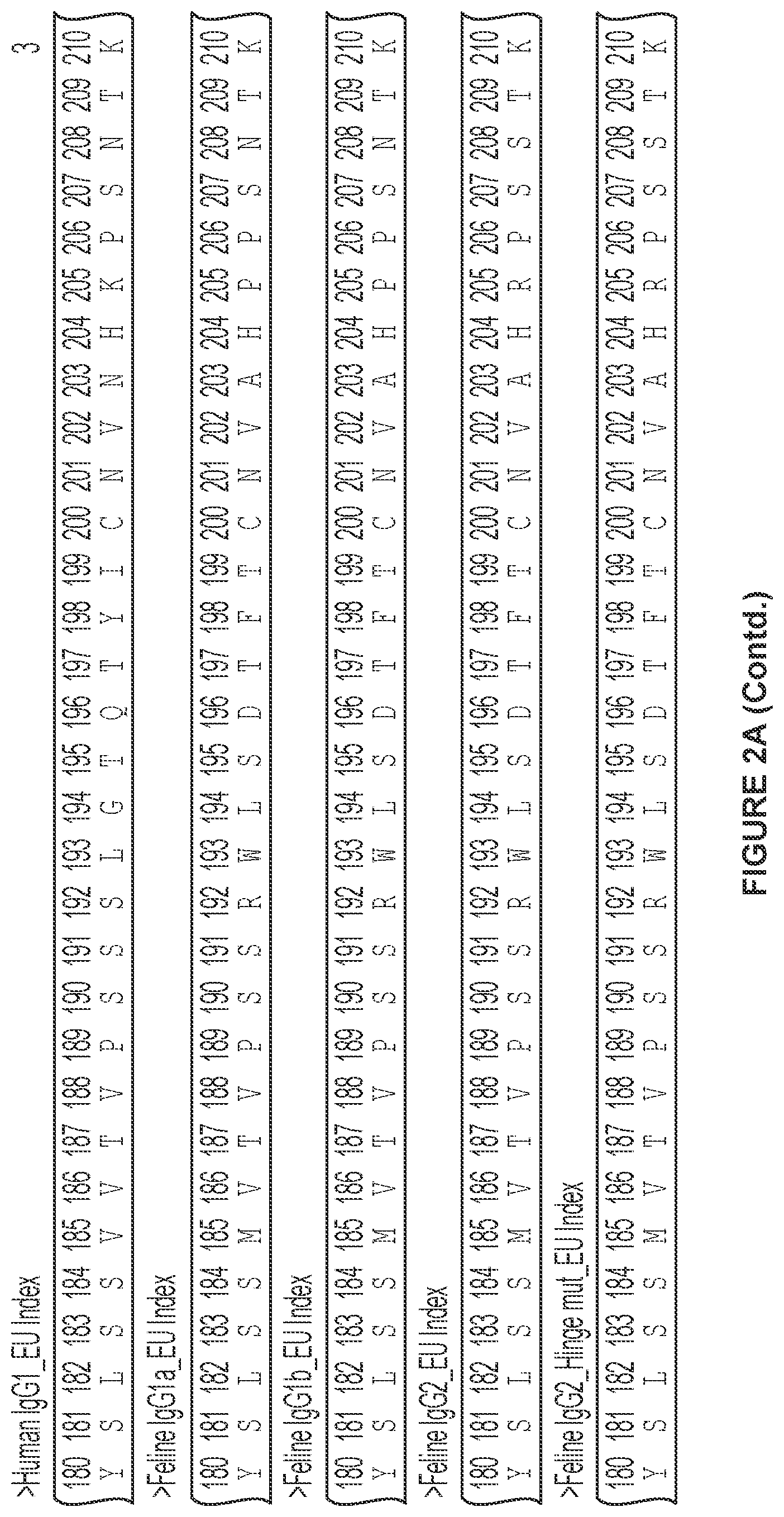 Patent US12612455 Figure 4 – Feline antibody variants