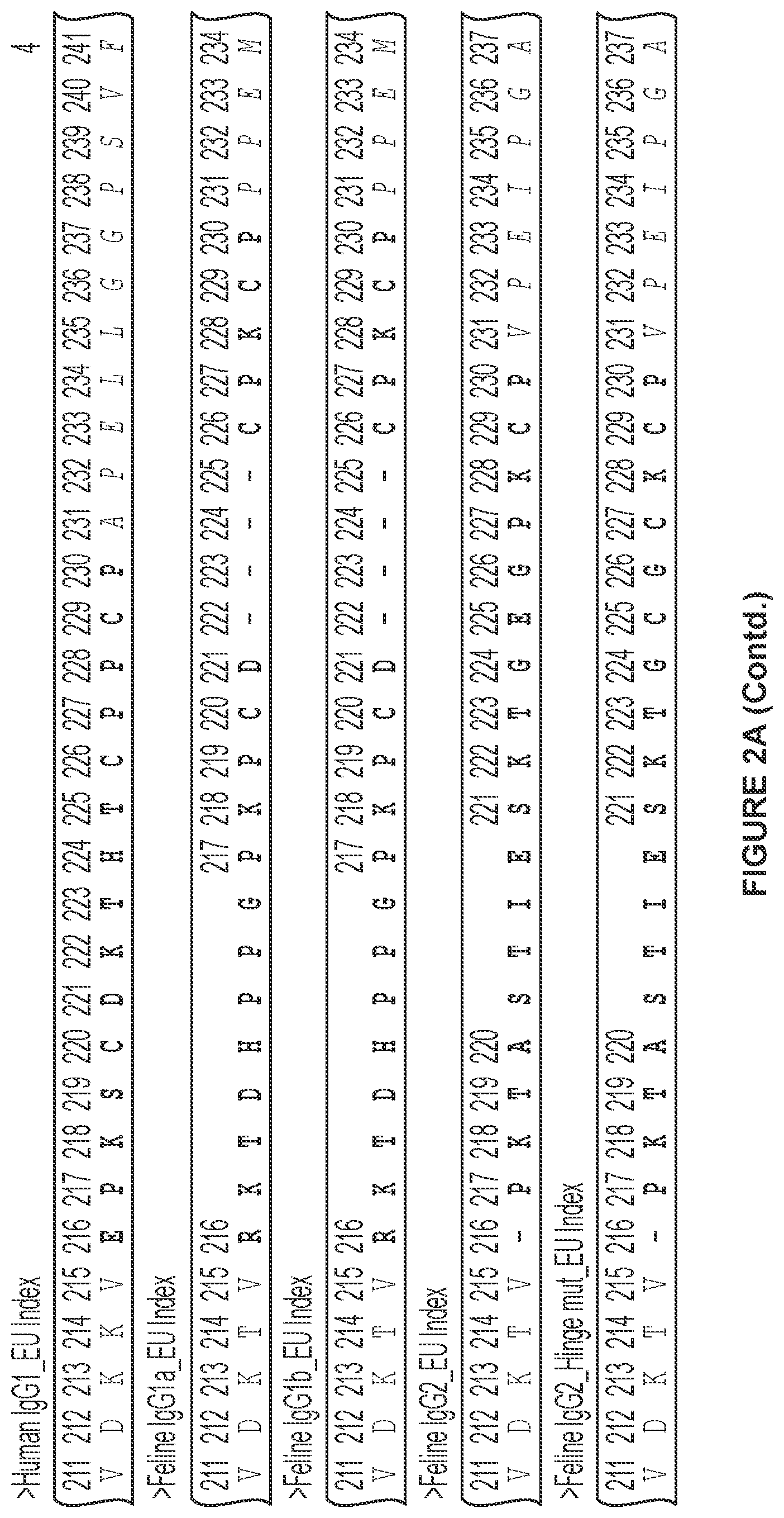 Patent US12612455 Figure 5 – Feline antibody variants