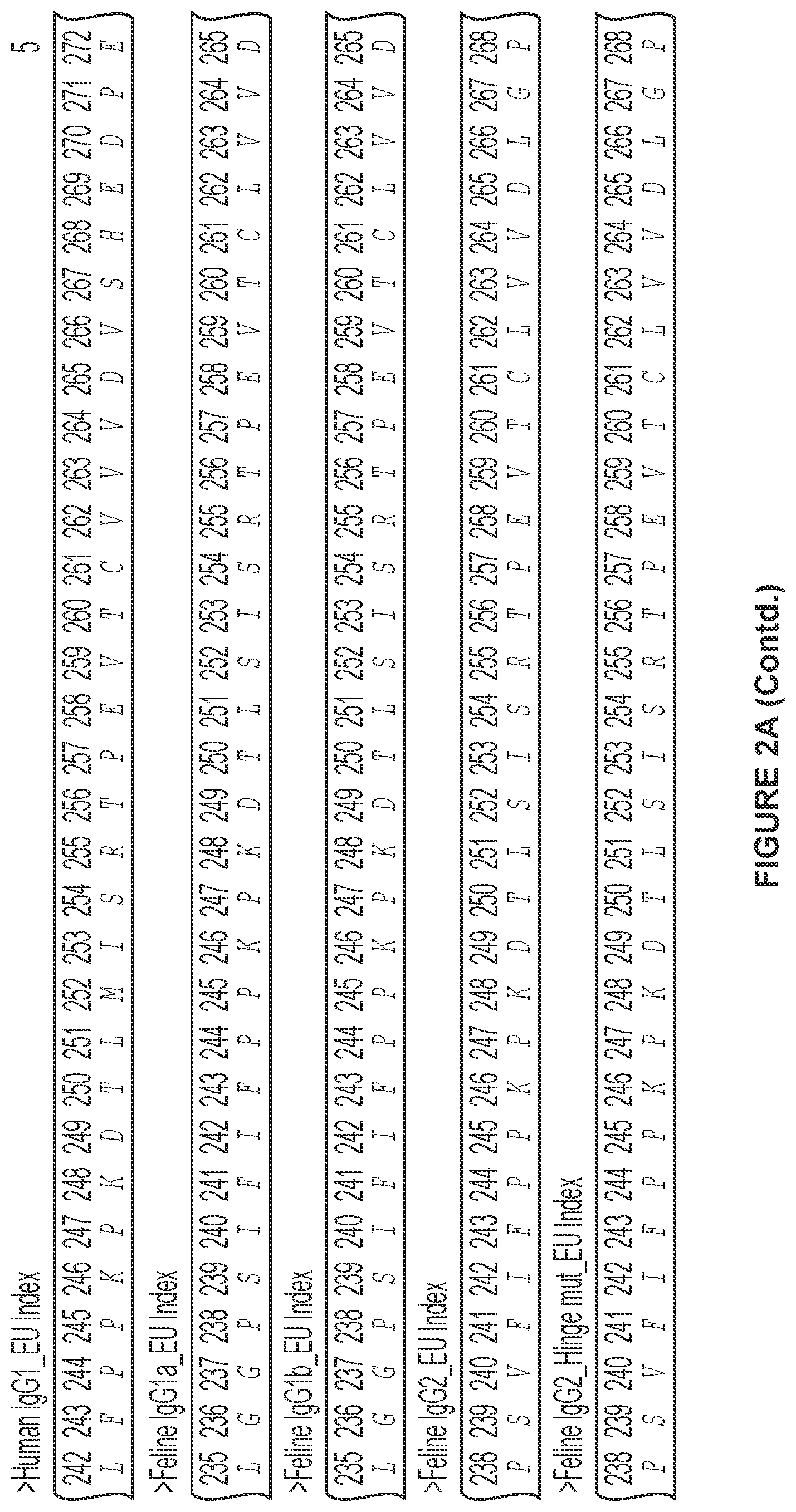Patent US12612455 Figure 6 – Feline antibody variants