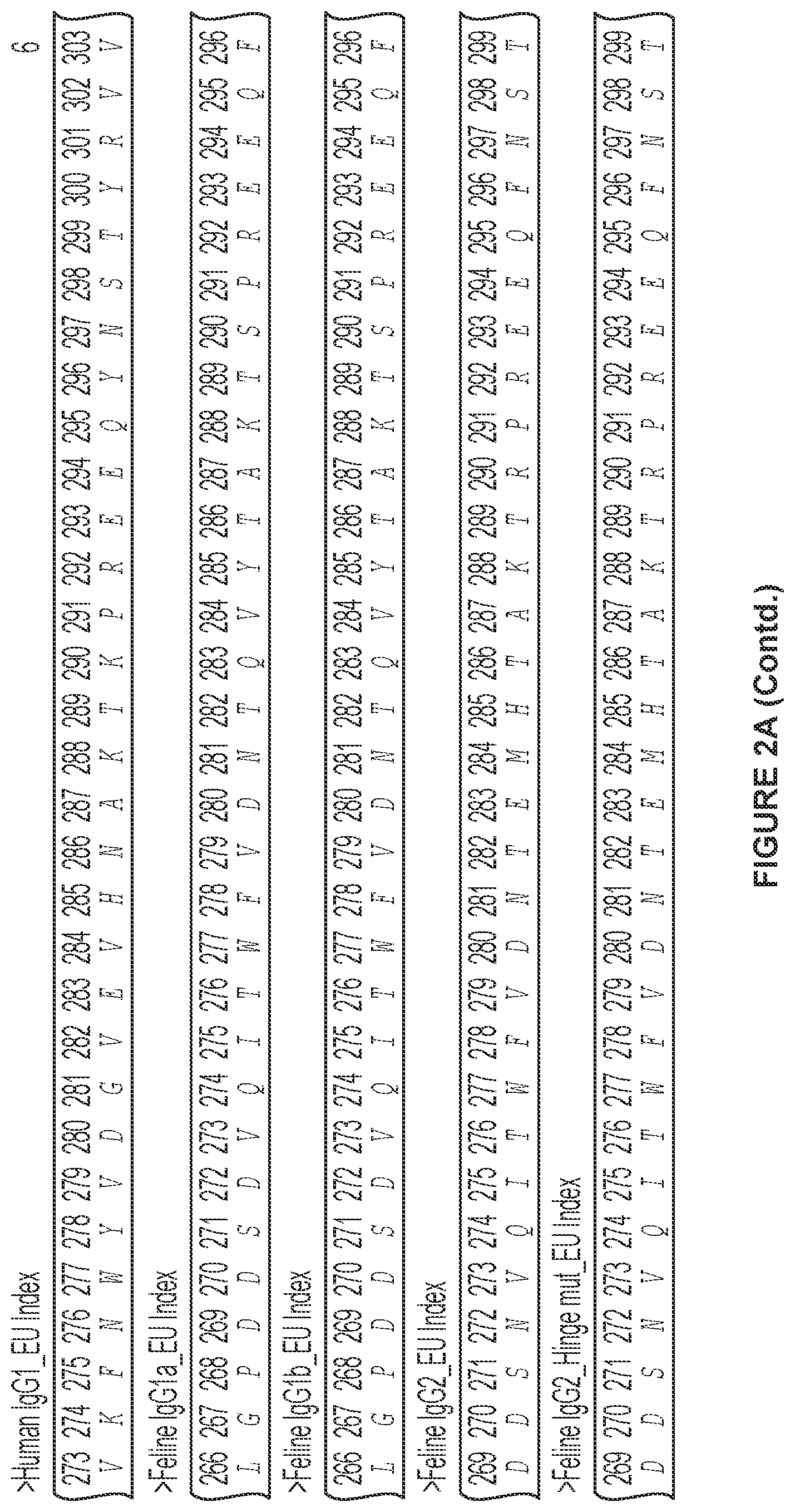 Patent US12612455 Figure 7 – Feline antibody variants