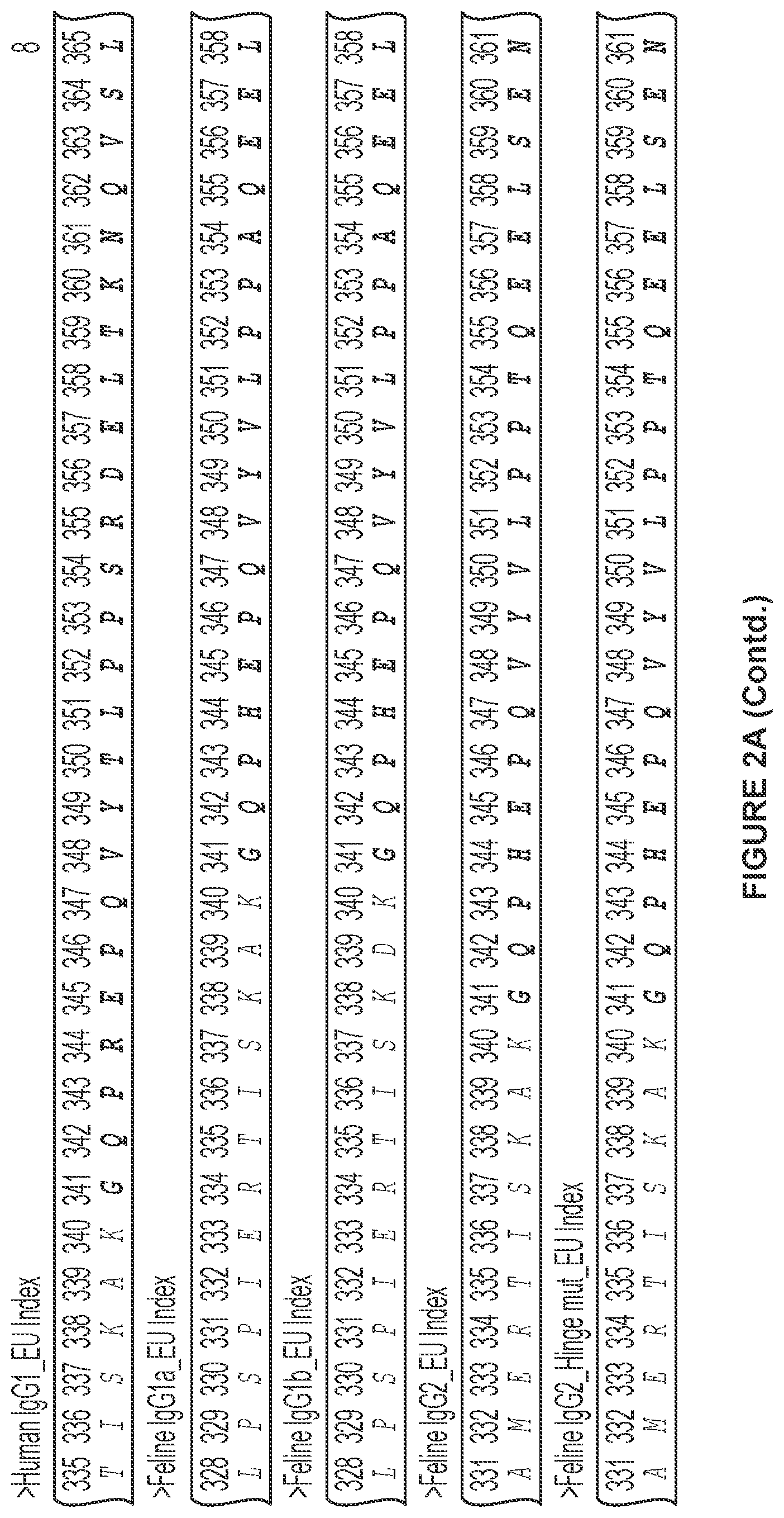 Patent US12612455 Figure 9 – Feline antibody variants