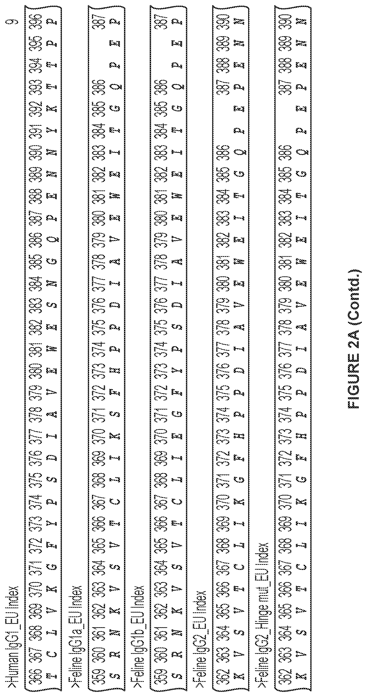 Patent US12612455 Figure 10 – Feline antibody variants