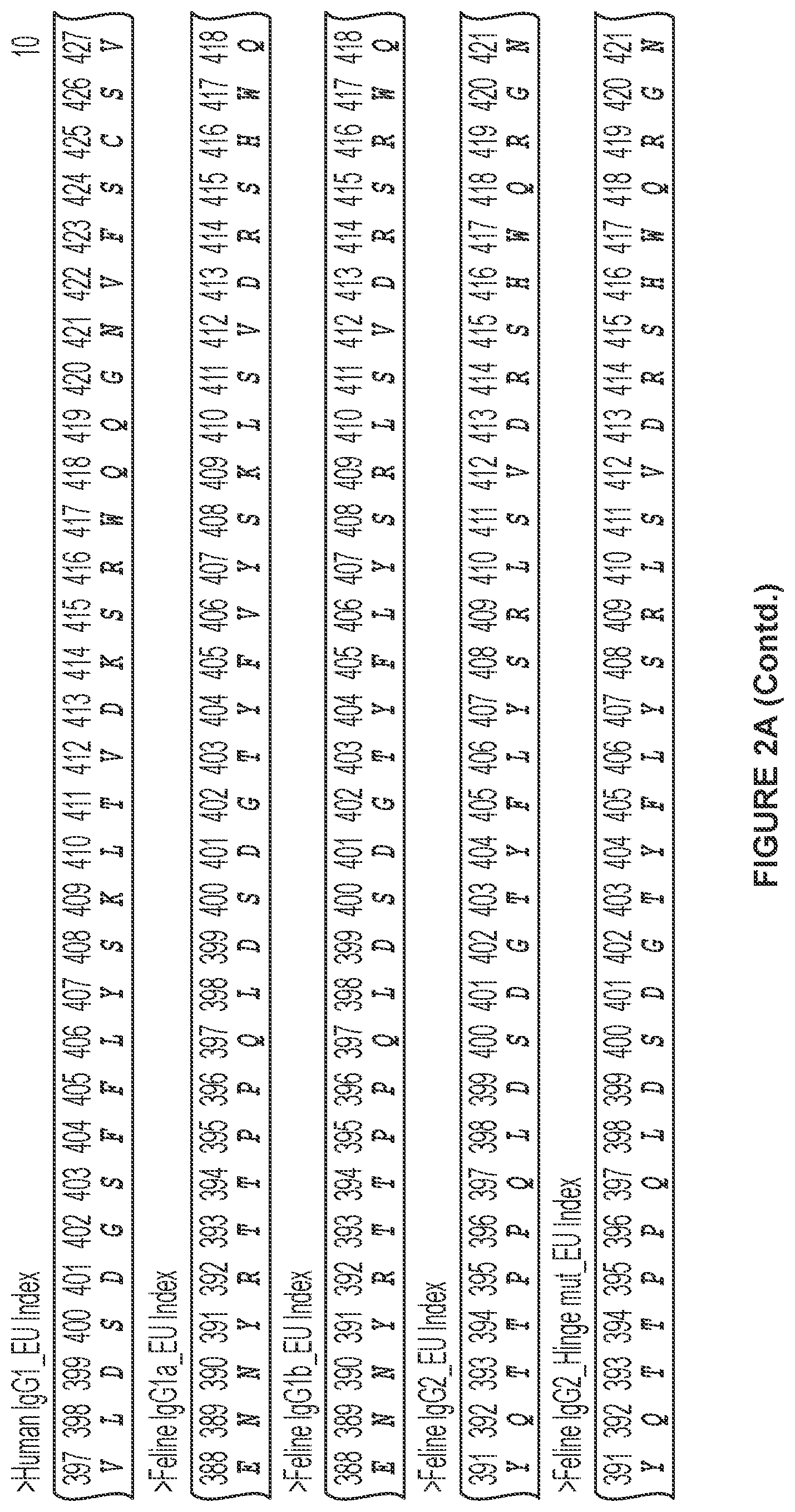 Patent US12612455 Figure 11 – Feline antibody variants