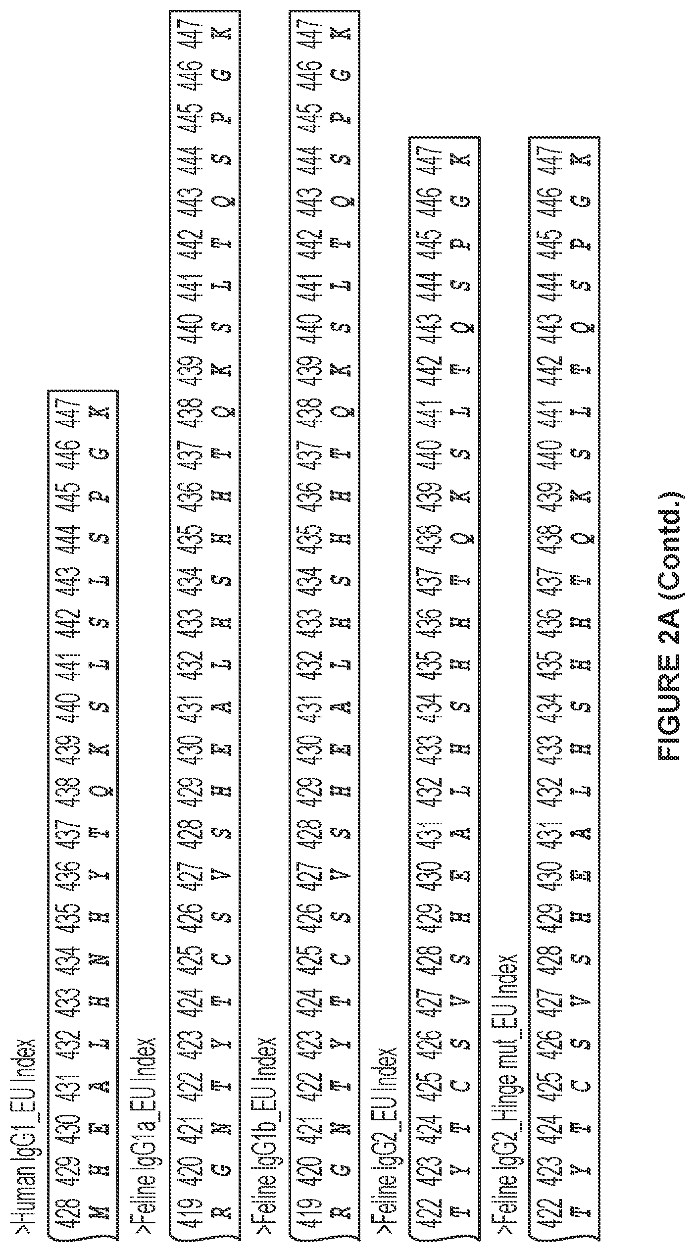 Patent US12612455 Figure 12 – Feline antibody variants