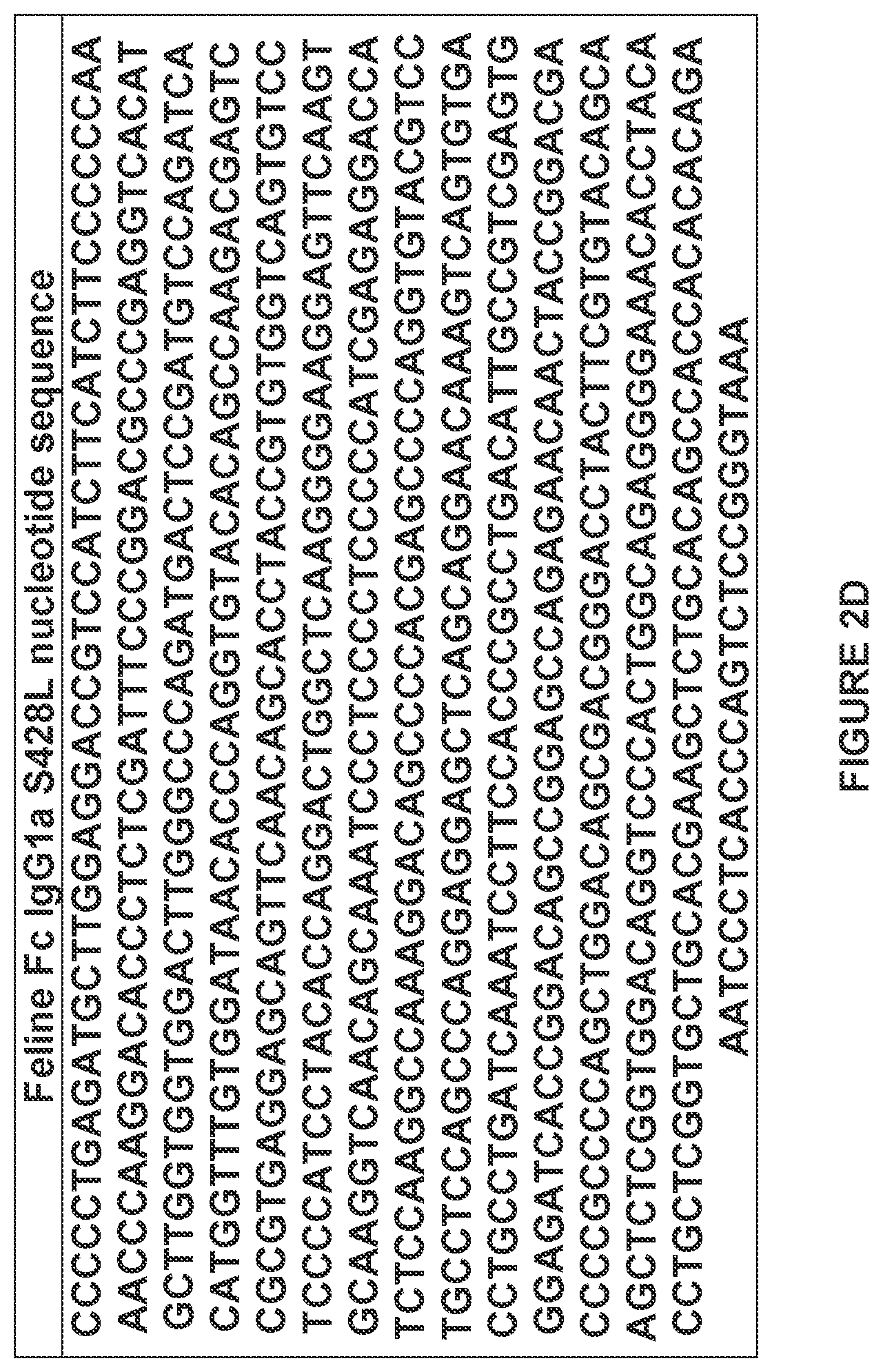 Patent US12612455 Figure 15 – Feline antibody variants
