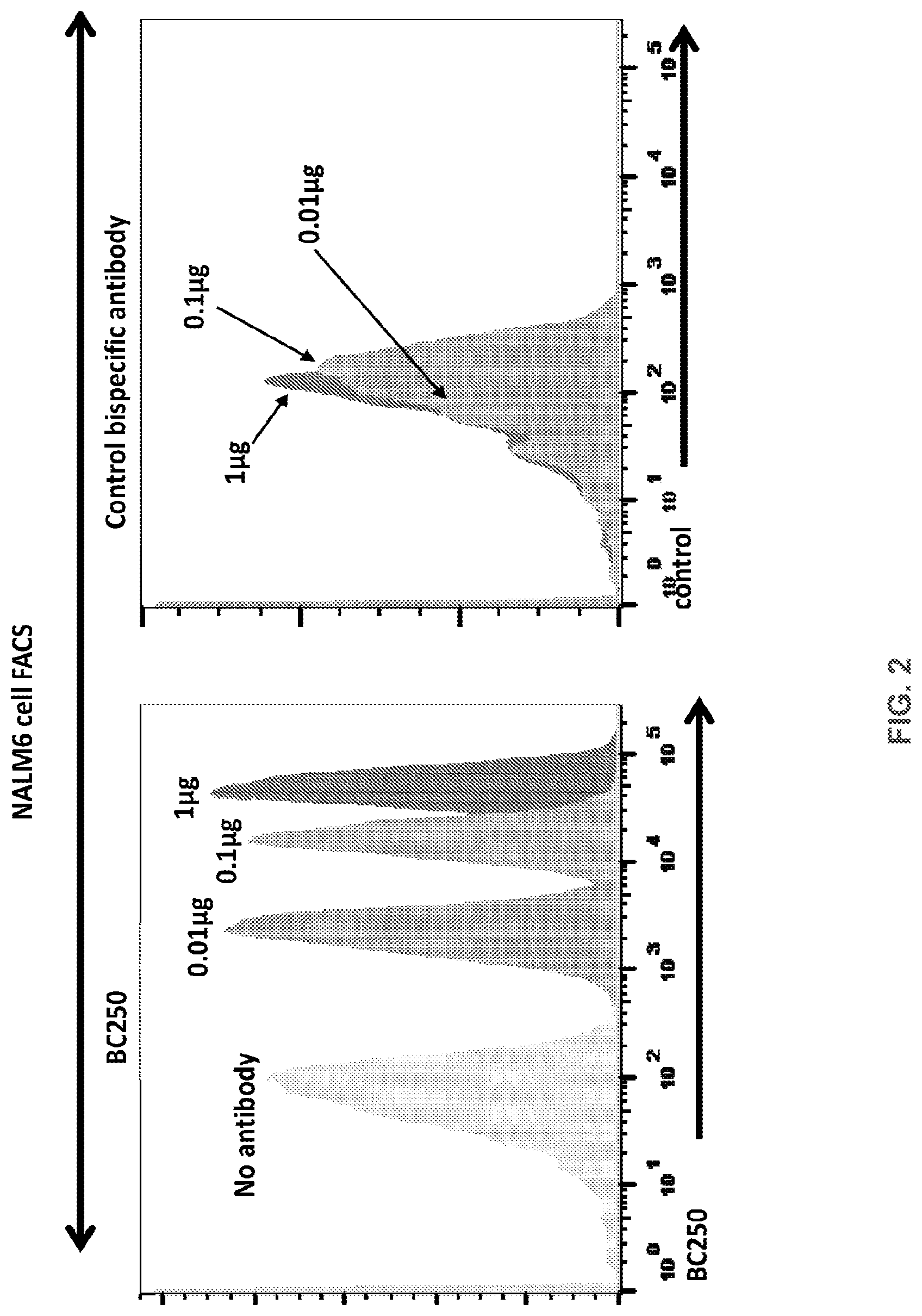 Patent US12612456 Figure 3 – CD19 antibodies and methods of using the same