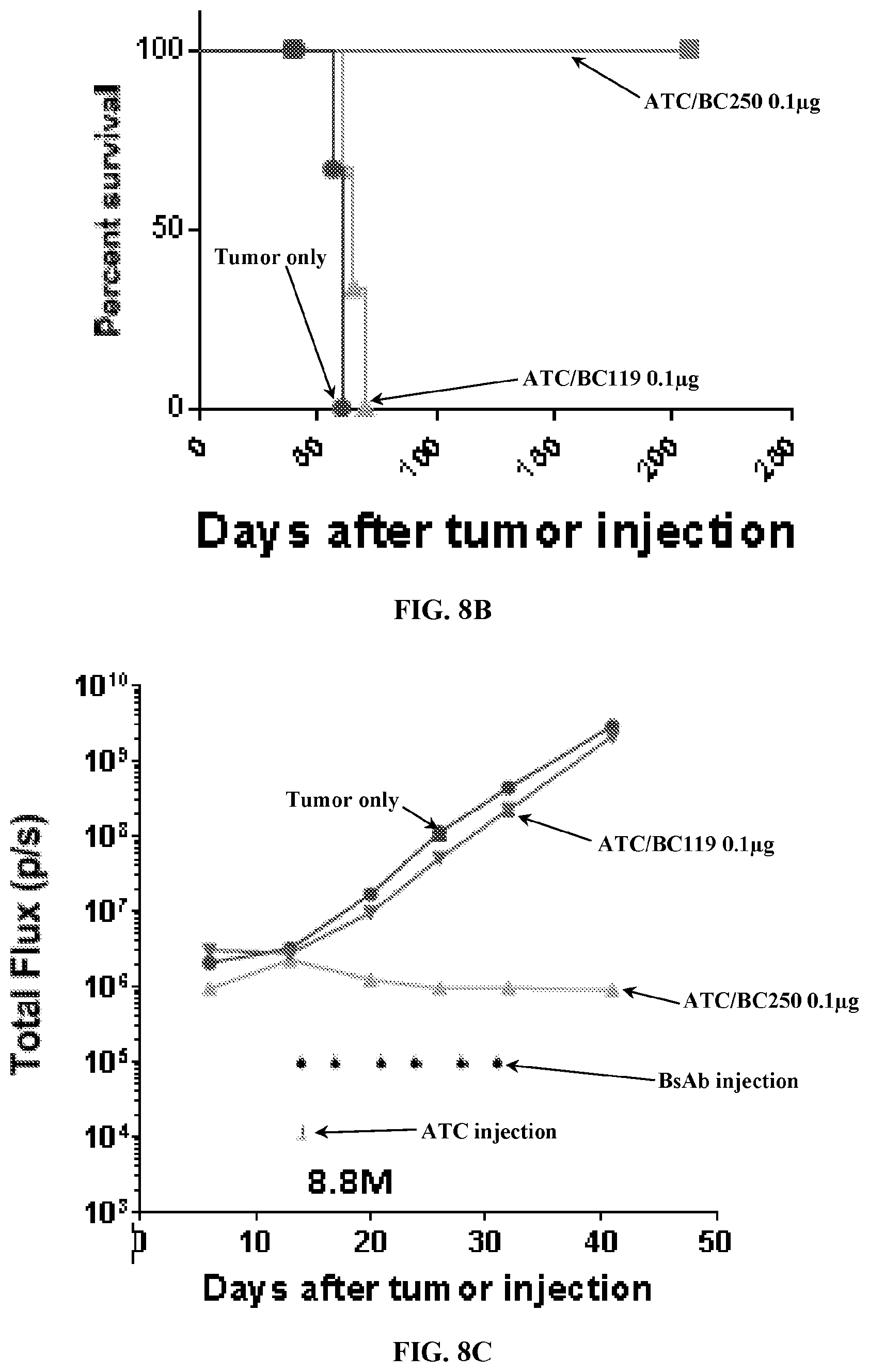 Patent US12612456 Figure 13 – CD19 antibodies and methods of using the same