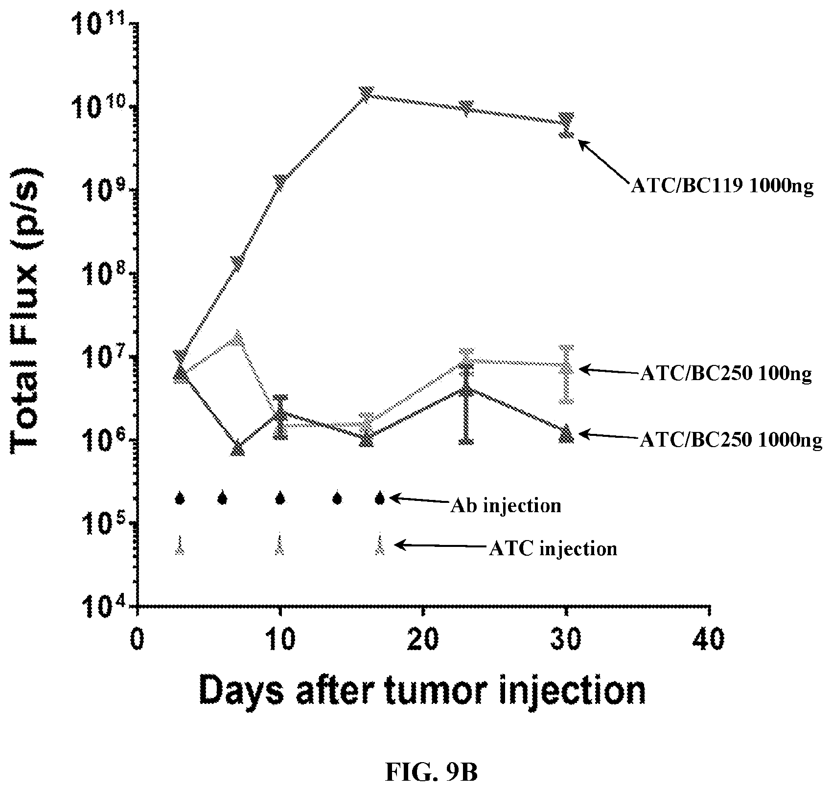 Patent US12612456 Figure 16 – CD19 antibodies and methods of using the same